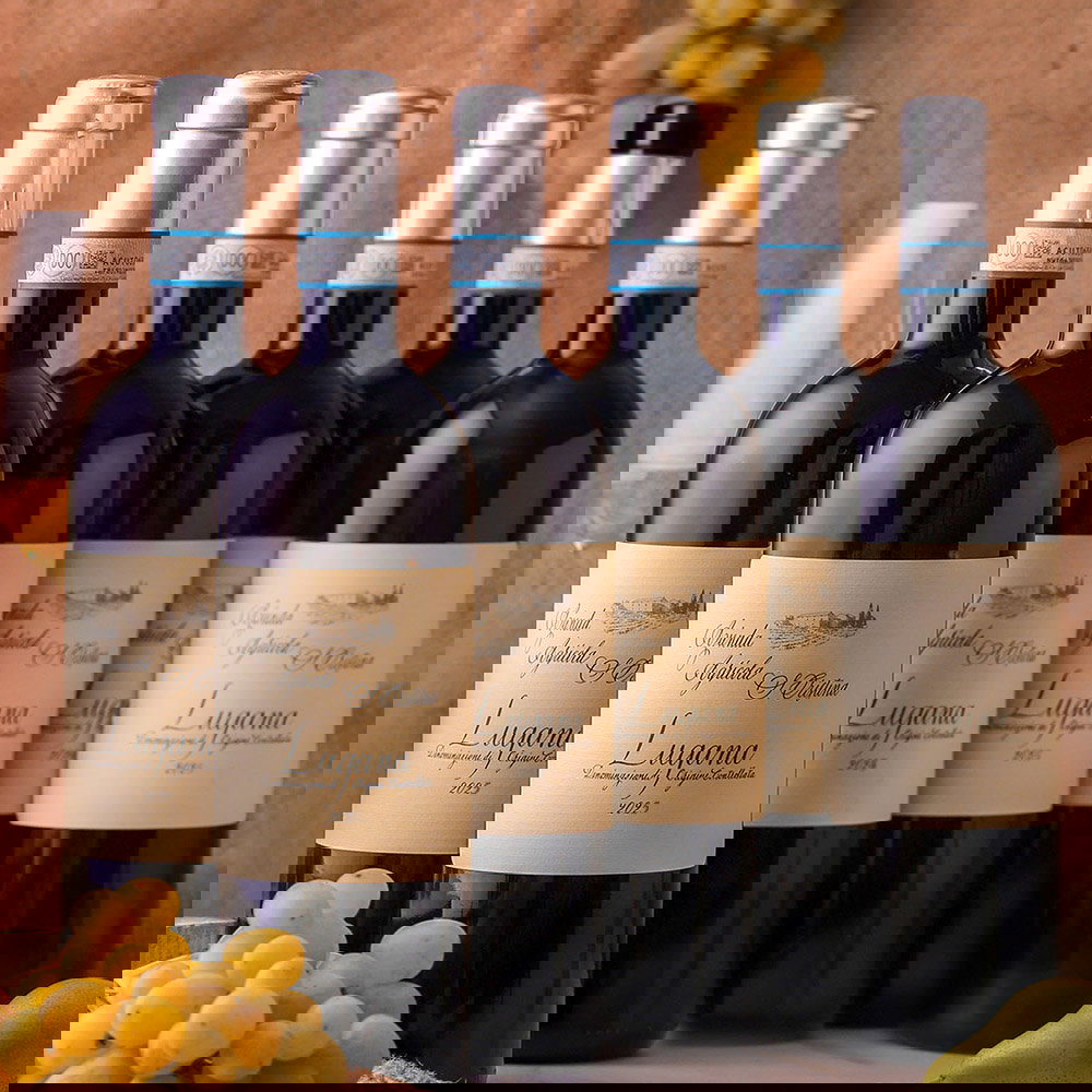 6er-Sparpaket Lugana 2025 Santa Cristina