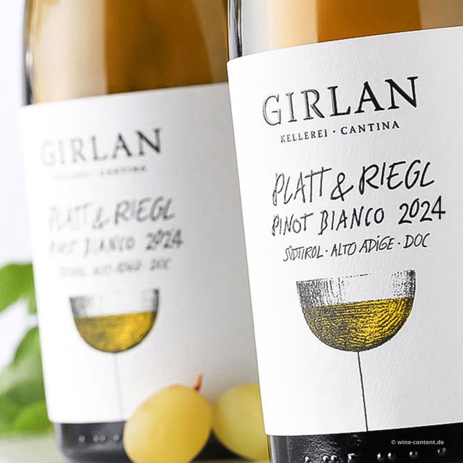Pinot Bianco 2024 Platt & Riegl
