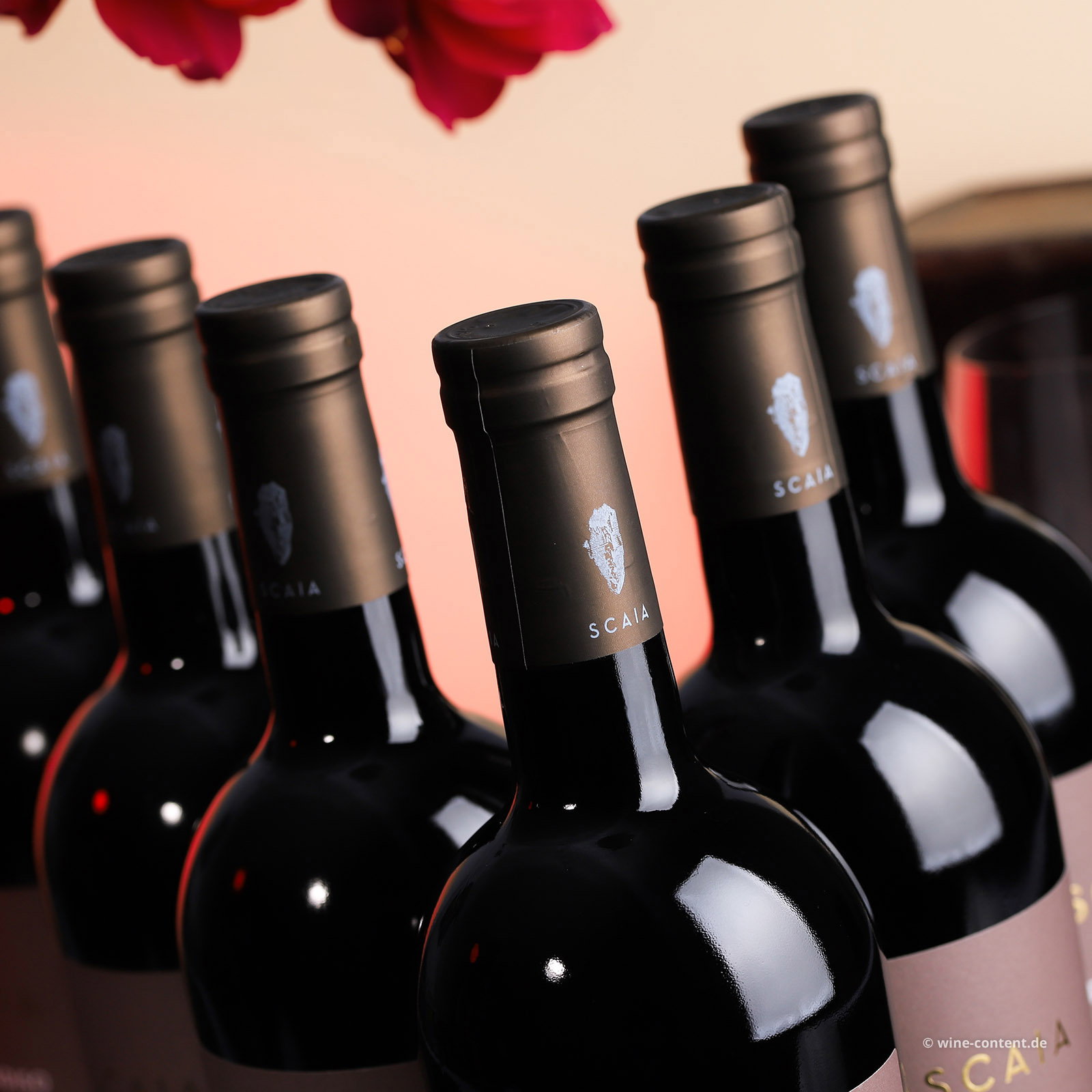 6er-Sparpaket Scaia Rosso 2022 Paradiso