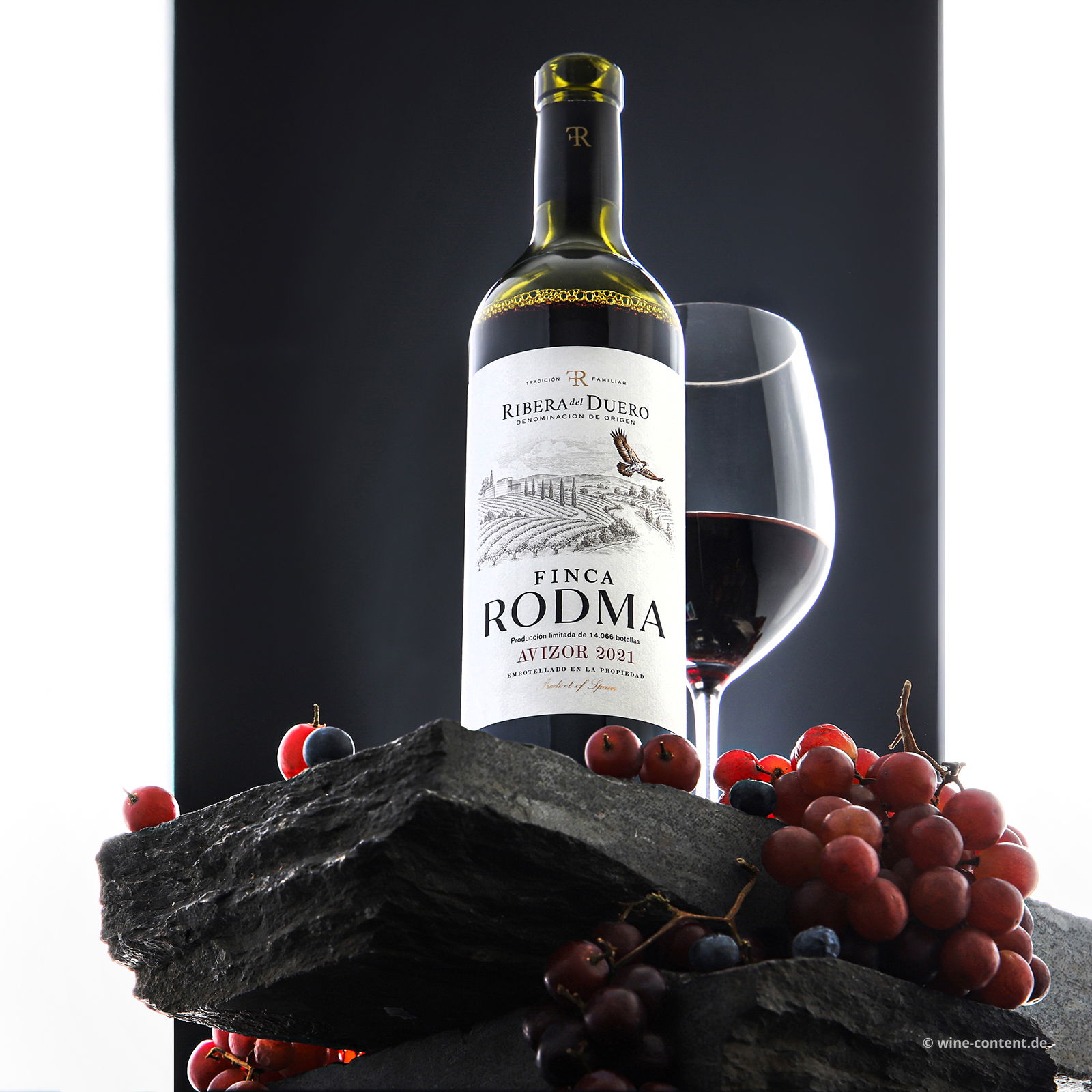 Tempranillo 2021 Avizor