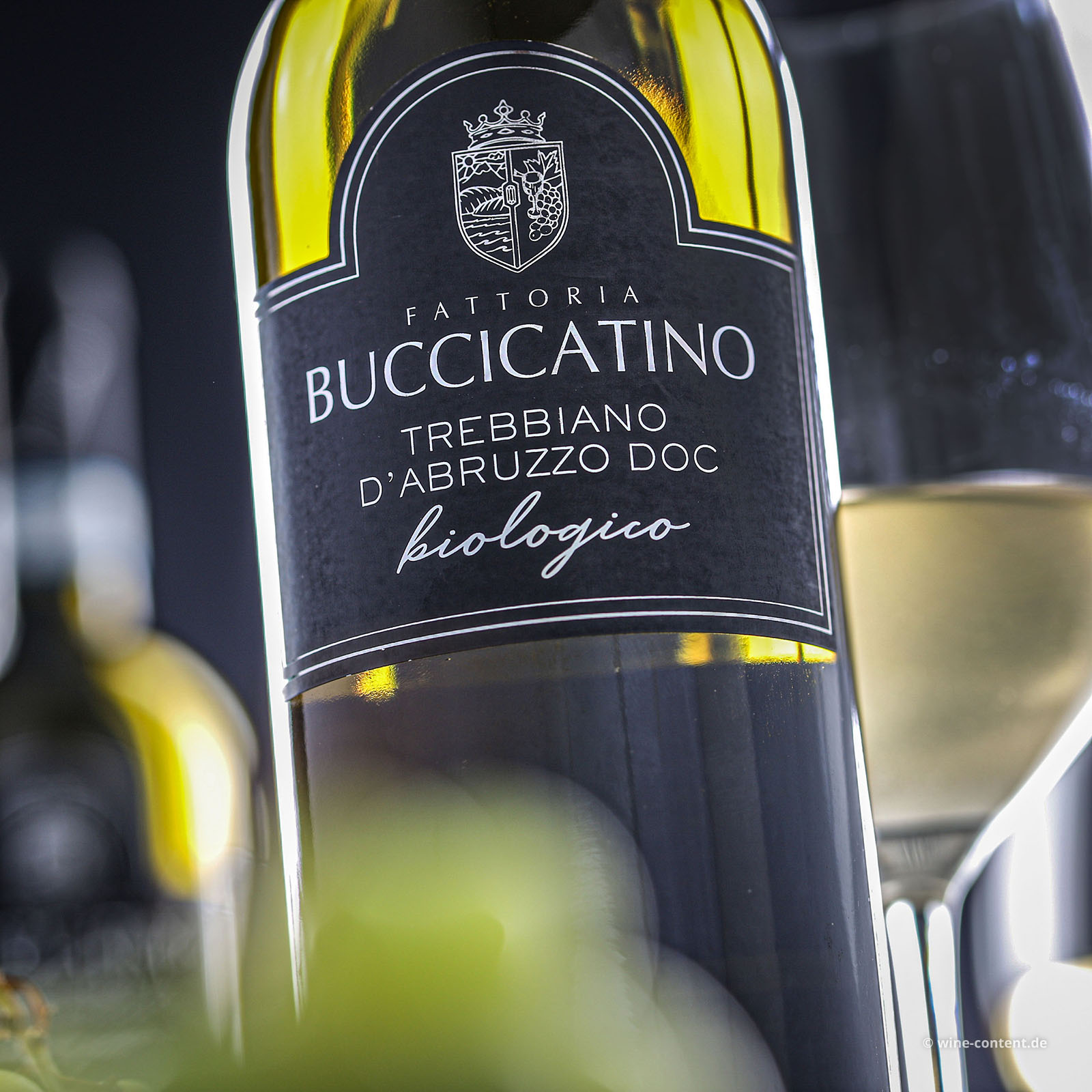 Trebbiano d'Abruzzo 2025 Bio