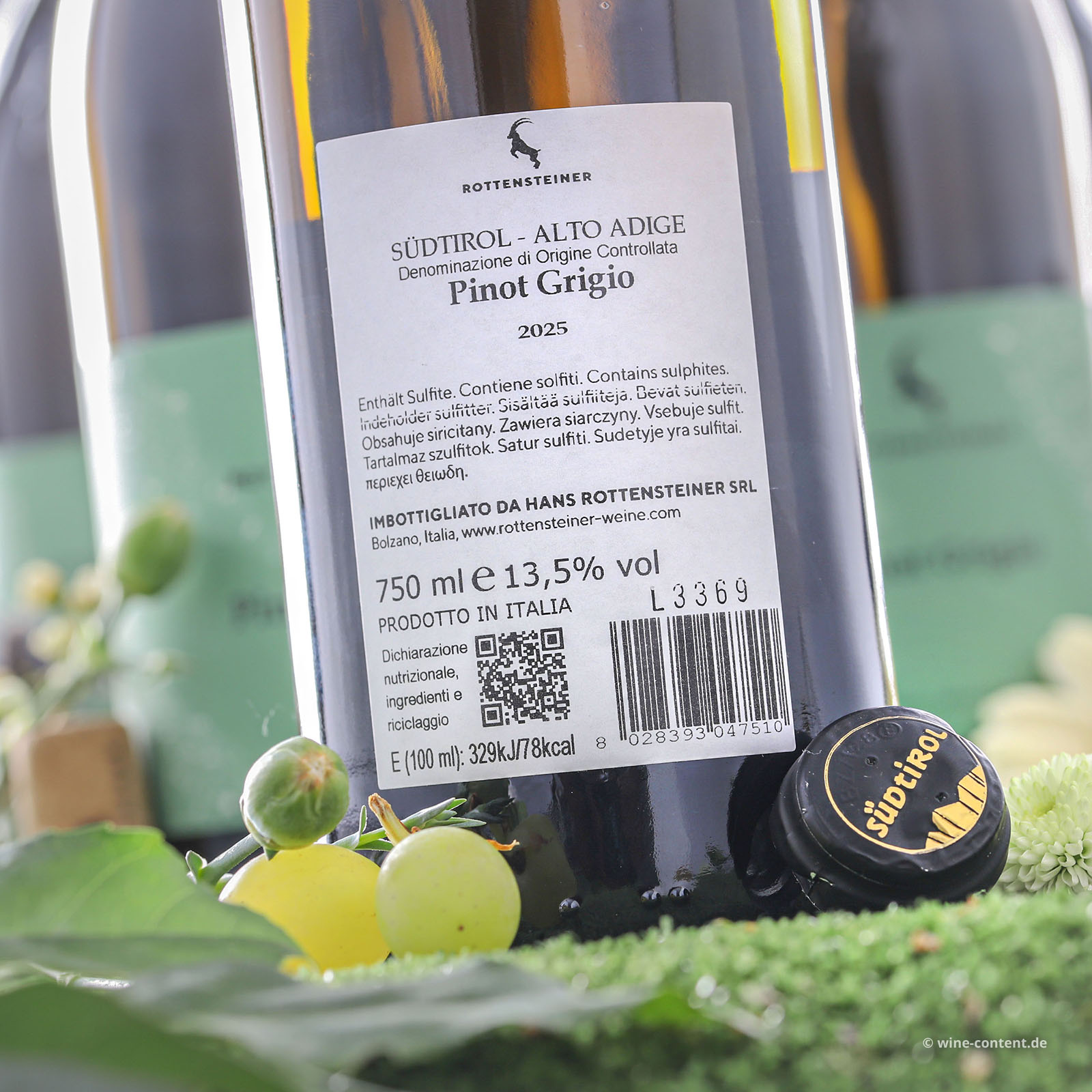 6er-Sparpaket Pinot Grigio 2025