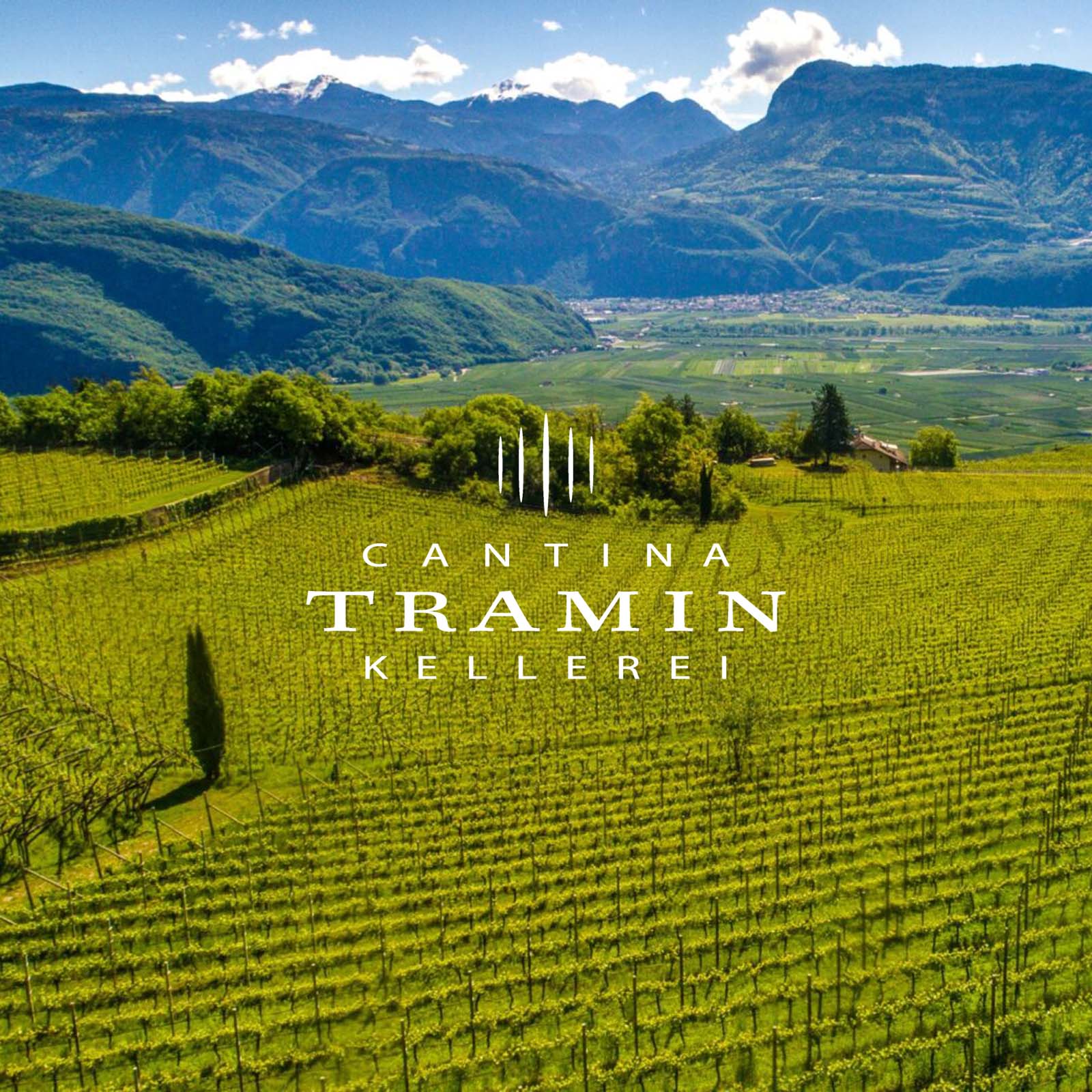 Chardonnay Riserva 2022 Troy