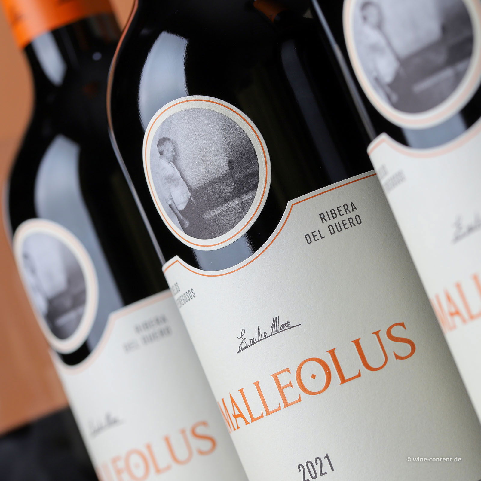 6er-Sparpaket Tempranillo 2021 Malleolus