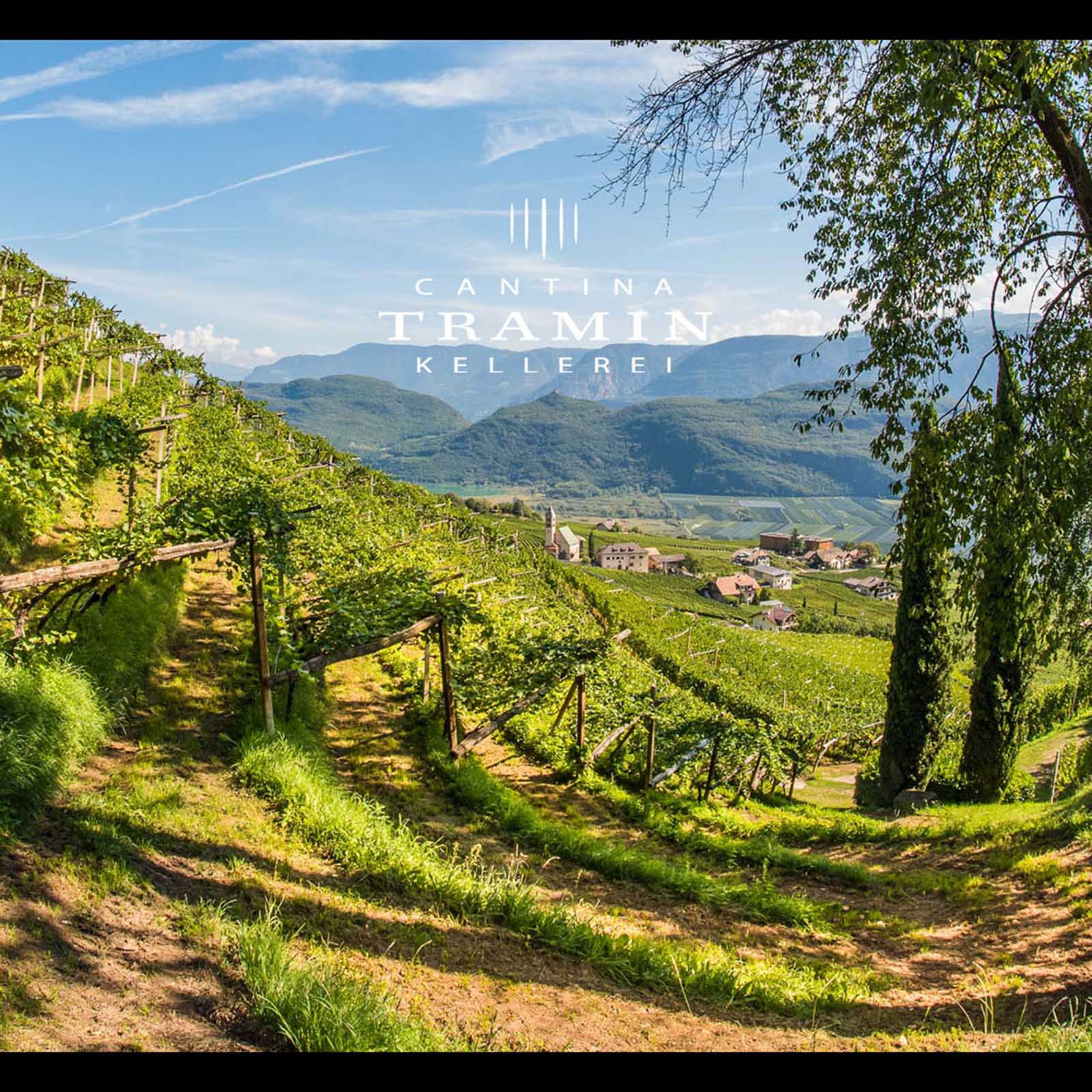 Chardonnay Riserva 2022 Troy