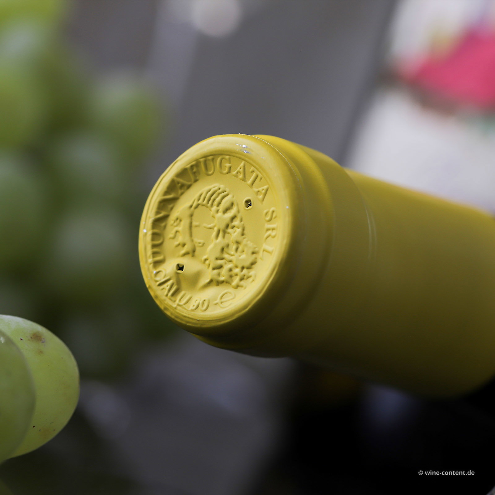 6er-Sparpaket Grillo Sicilia 2025 Passiperduti