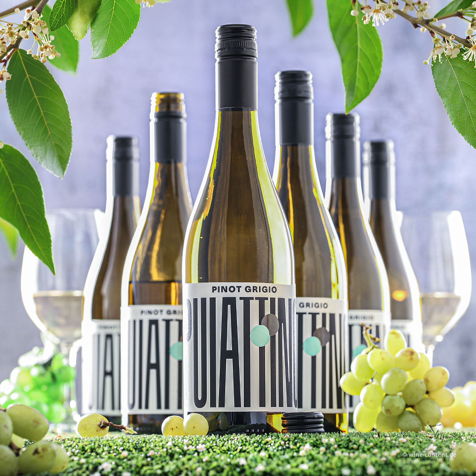 6er-Sparpaket Pinot Grigio 2025 Puiattino