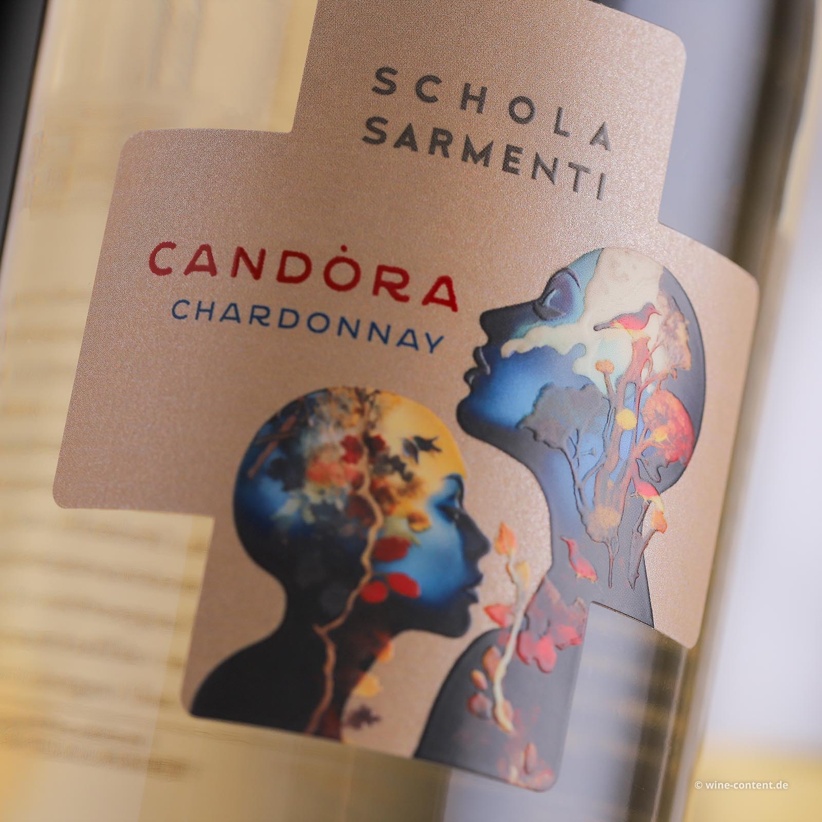 Chardonnay Salento 2025 Candòra