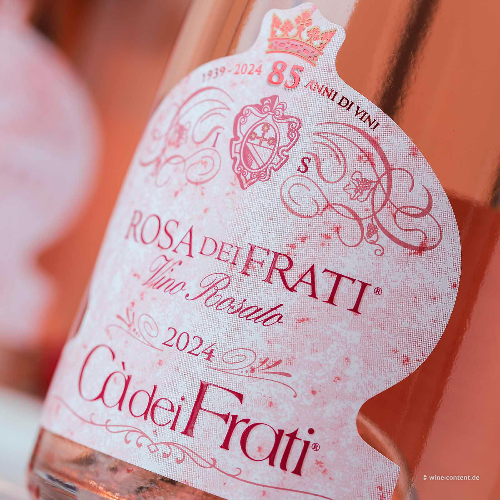 Rosa dei Frati 2024