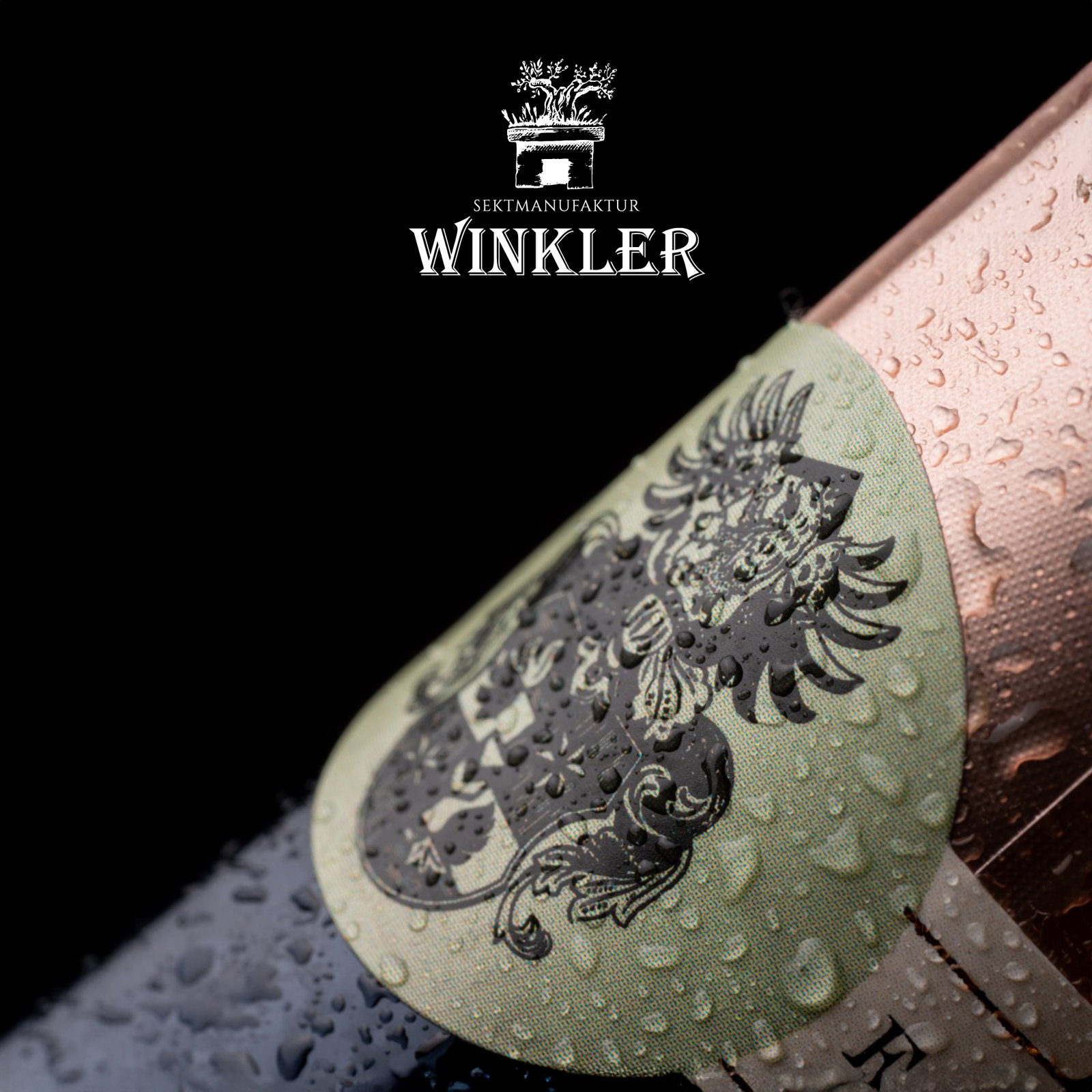 3er-Paket Spumante Lamm Rosé N°12 Extra Brut in Einzelverpackung