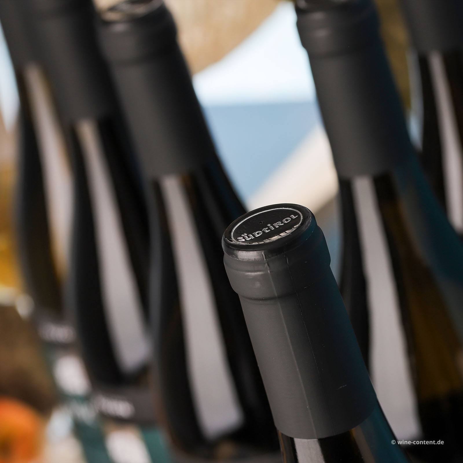 6er-Sparpaket Sauvignon Blanc 2025 Mock