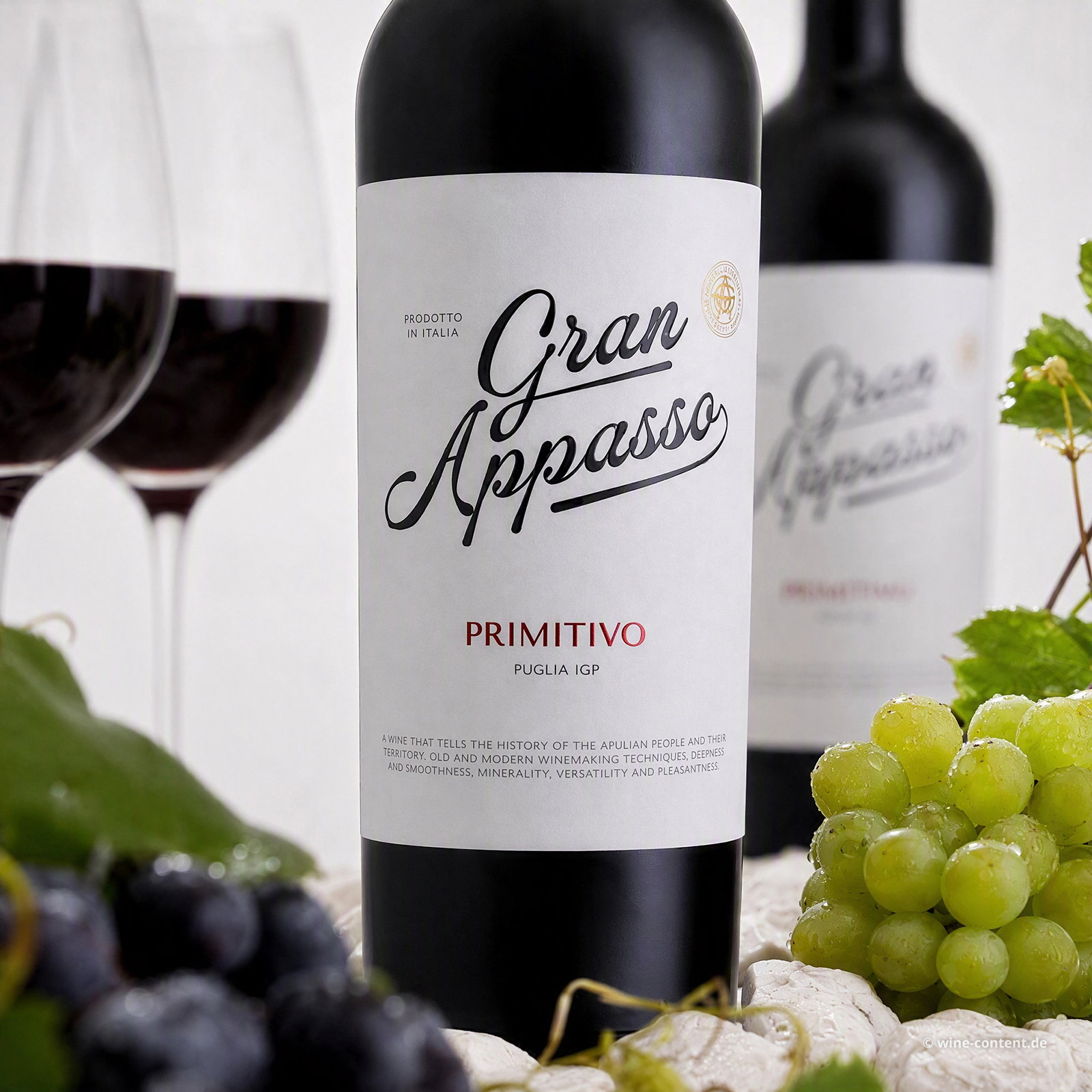 Primitivo 2025 Gran Appasso