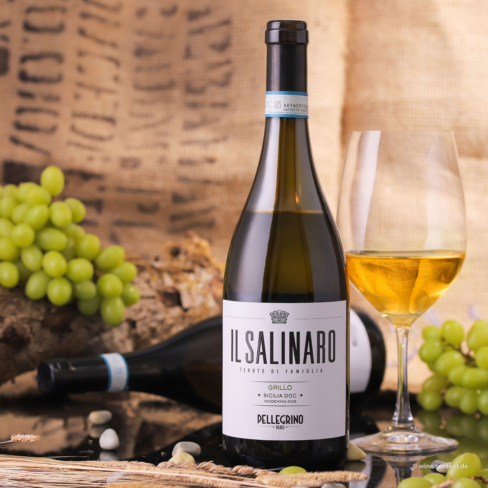 Grillo Sicilia 2025 Il Salinaro