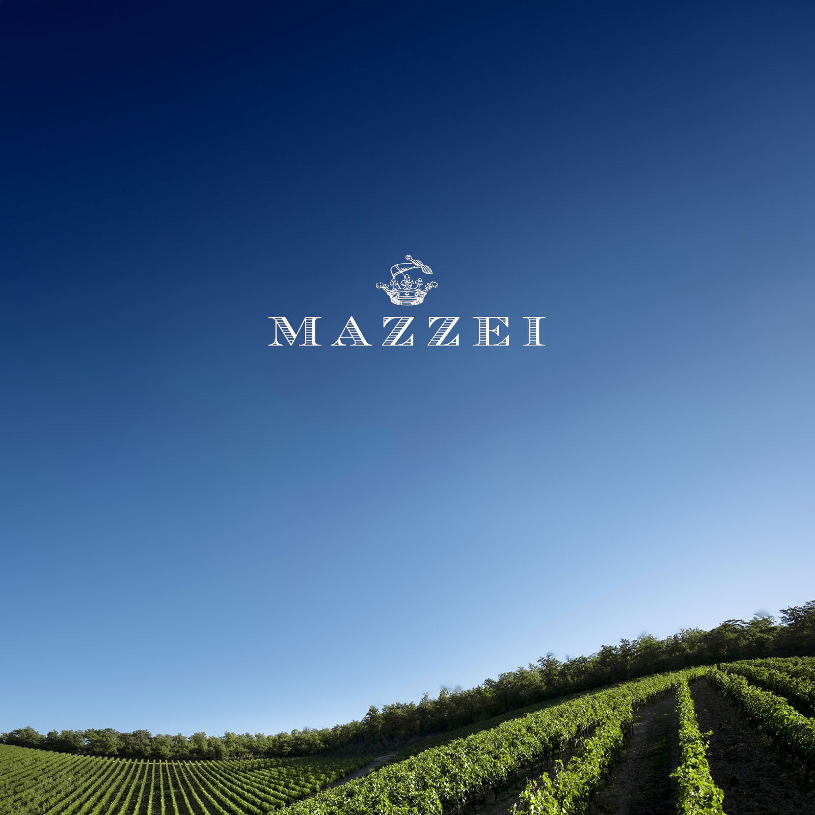 Vermentino Maremma Toscana 2024 Belguardo