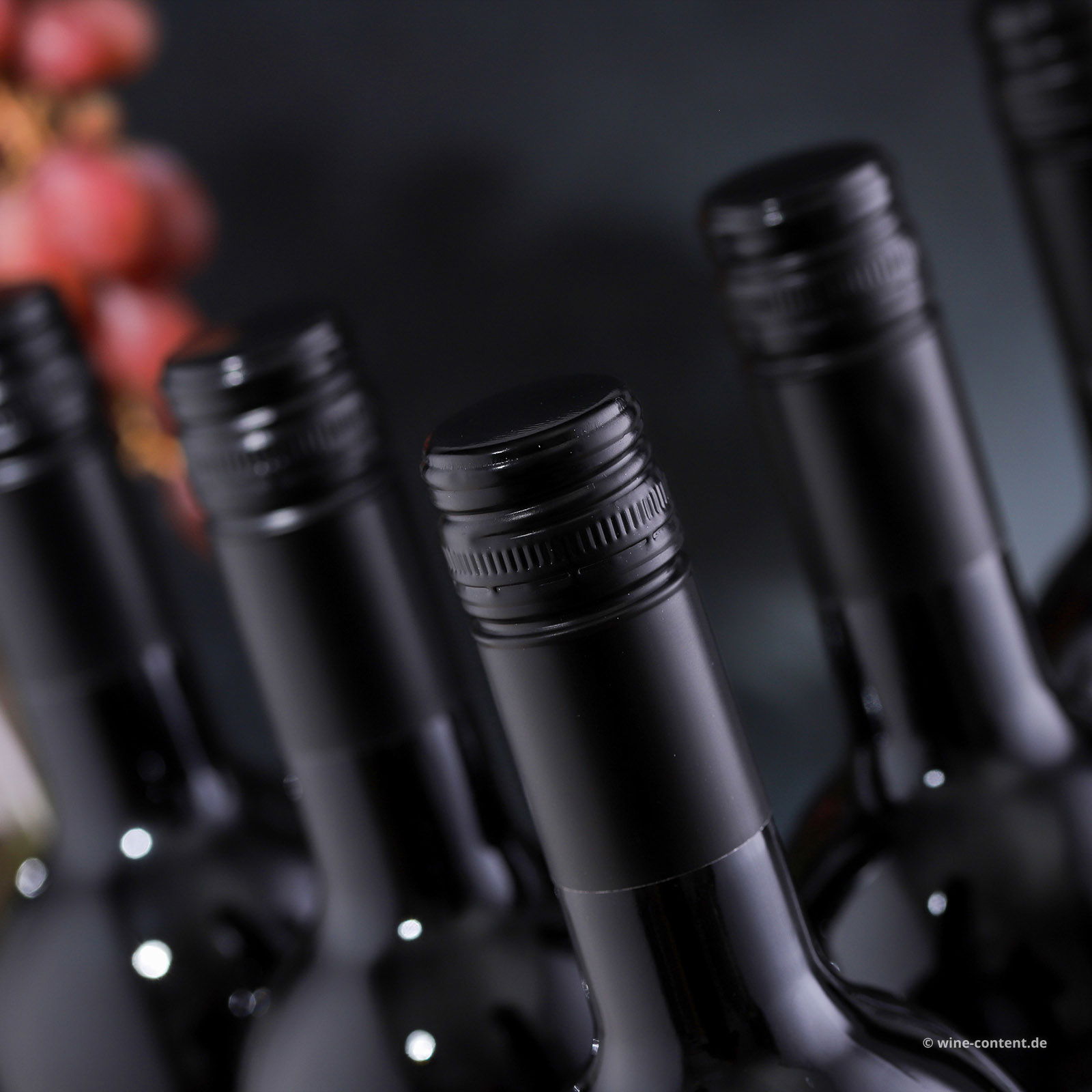6er-Sparpaket Rosso del Veneto Appassimento 2023 Fiorebella