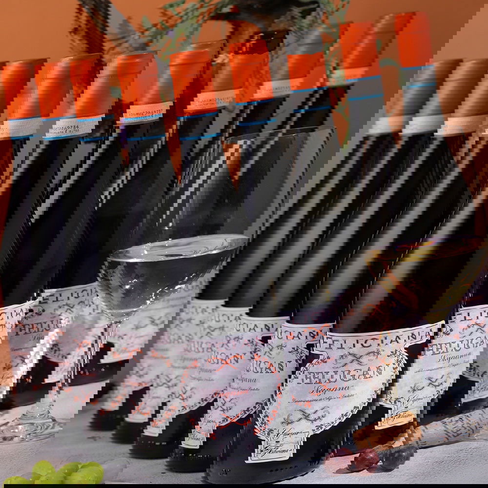 9er-Sparpaket Lugana 2024 Felugan