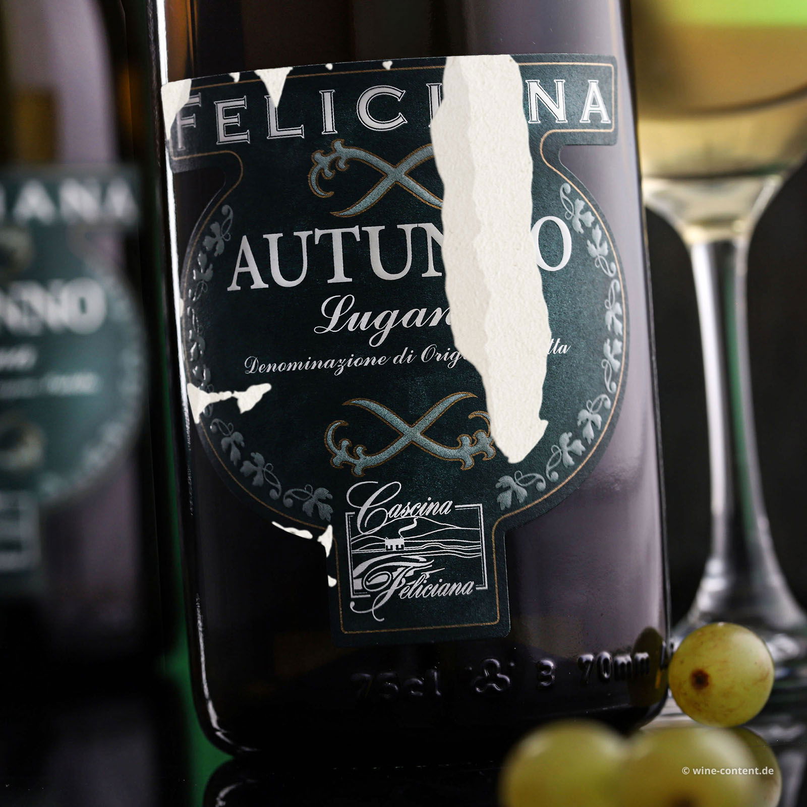 Lugana 2023 Autunno (Lagerschaden)