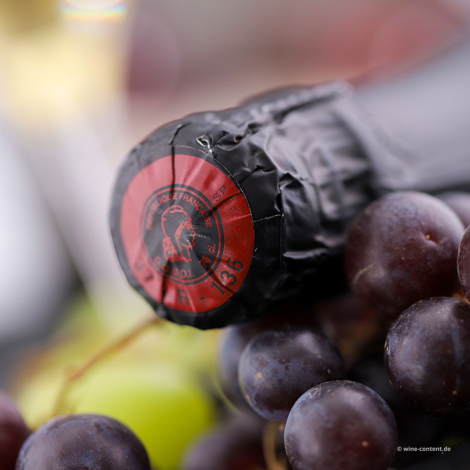 Methode Traditionnelle Blanc de Blanc Brut