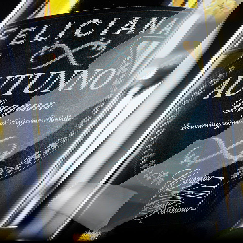 Lugana 2024 Autunno (Lagerschaden)