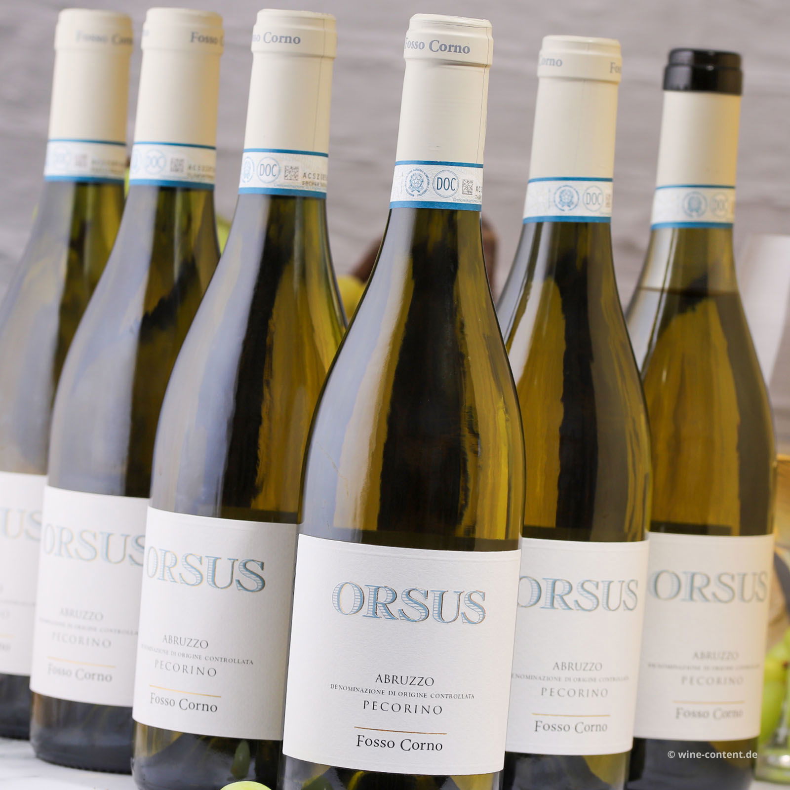 6er-Sparpaket Pecorino Abruzzo 2024 Orsus