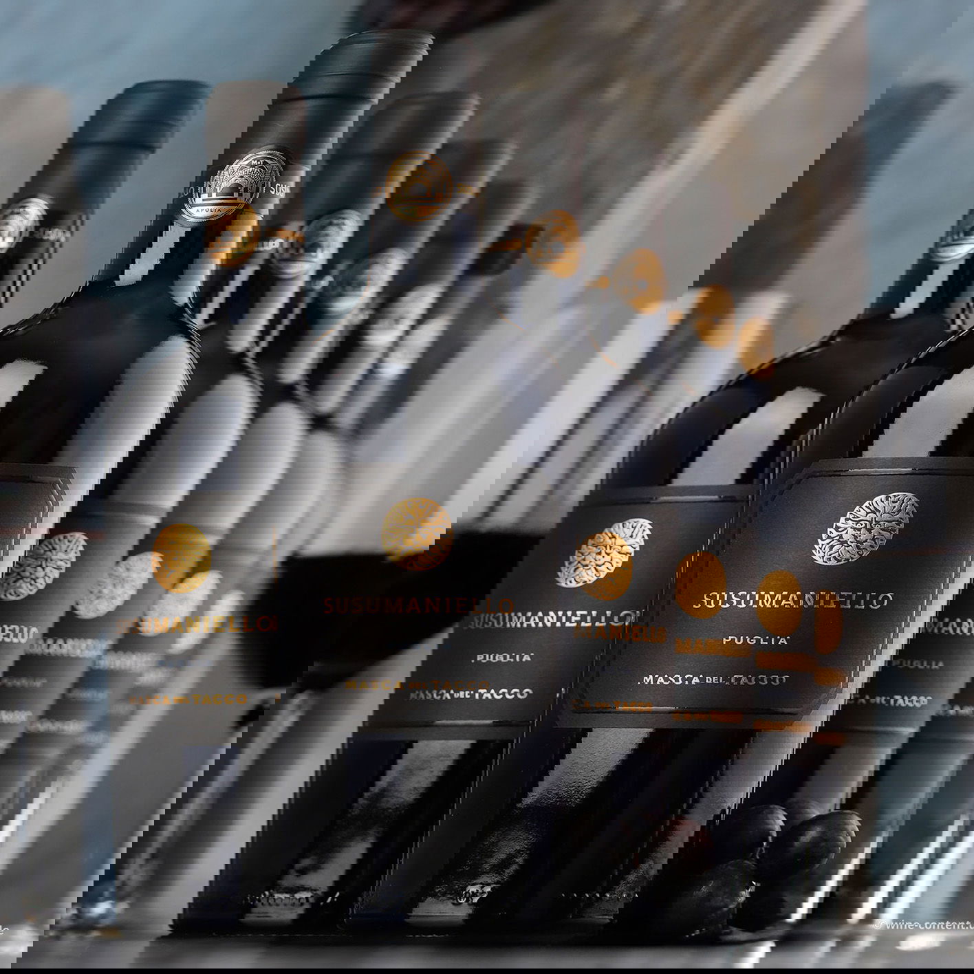 6er-Sparpaket Susumaniello 2024