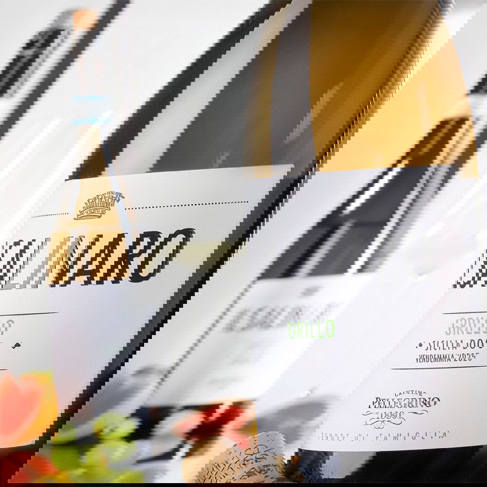 Grillo Sicilia 2025 Il Salinaro