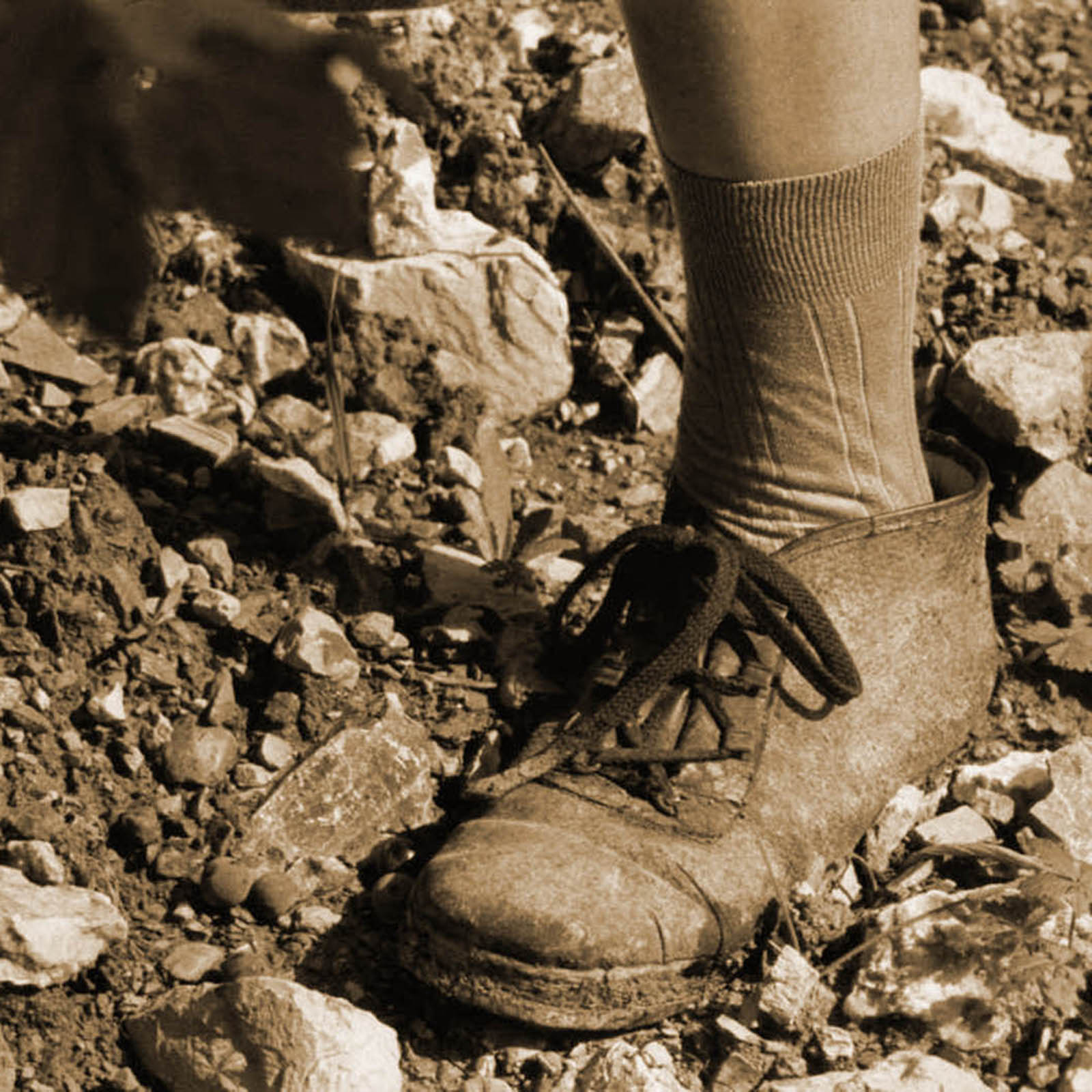 Primitivo 2023 Tator Primitivo 2023 Tator