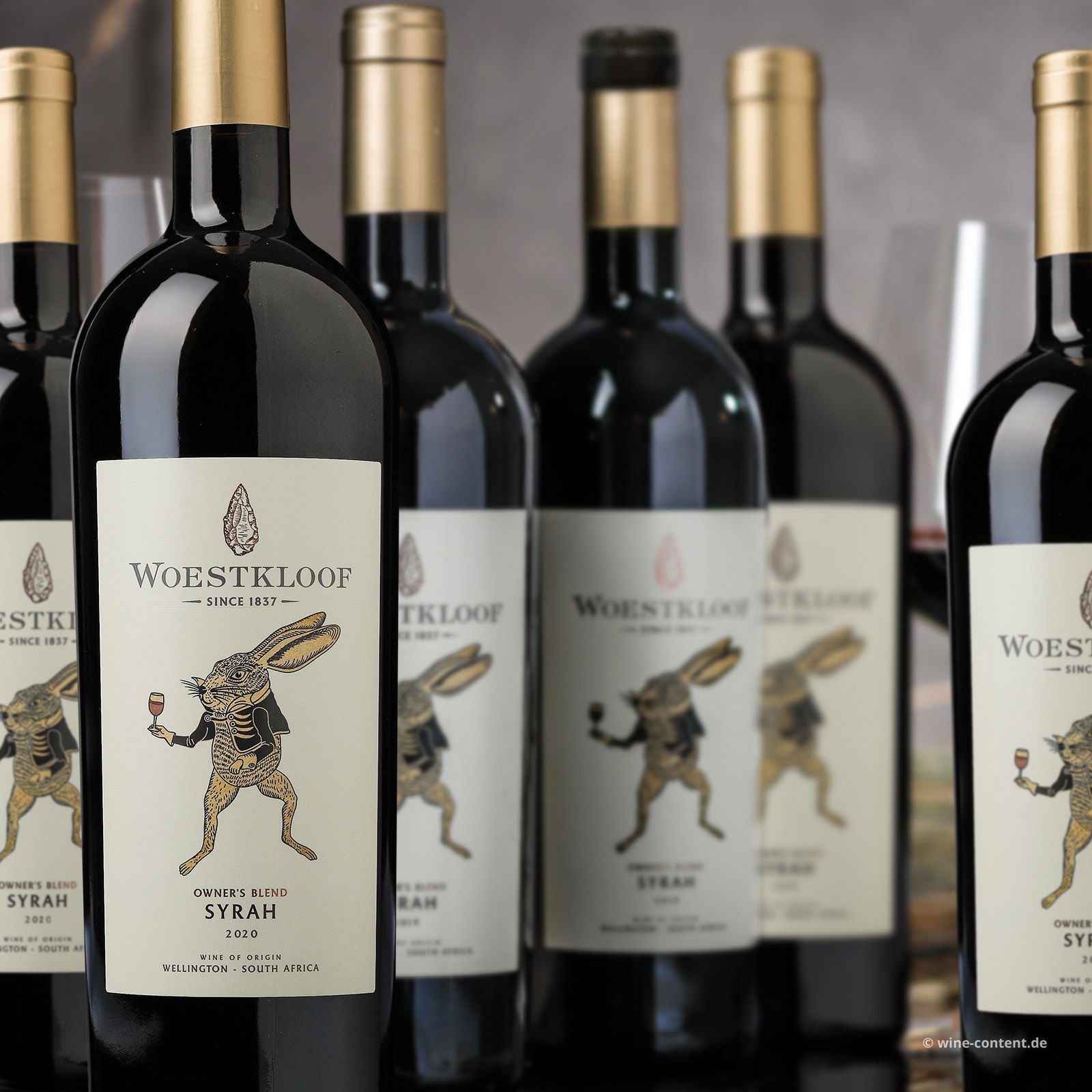 5+1 Sparpaket Syrah 2020 Owner's Blend
