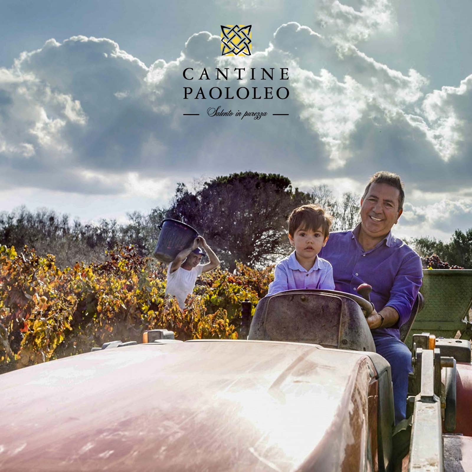 Primitivo di Manduria 2023 Passo del Cardinale Doppel-Magnum