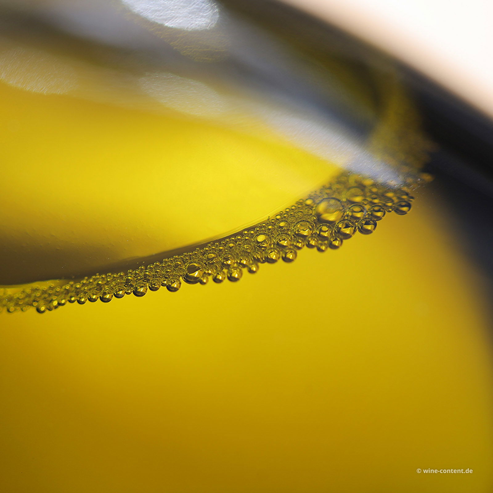 Prosecco Frizzante