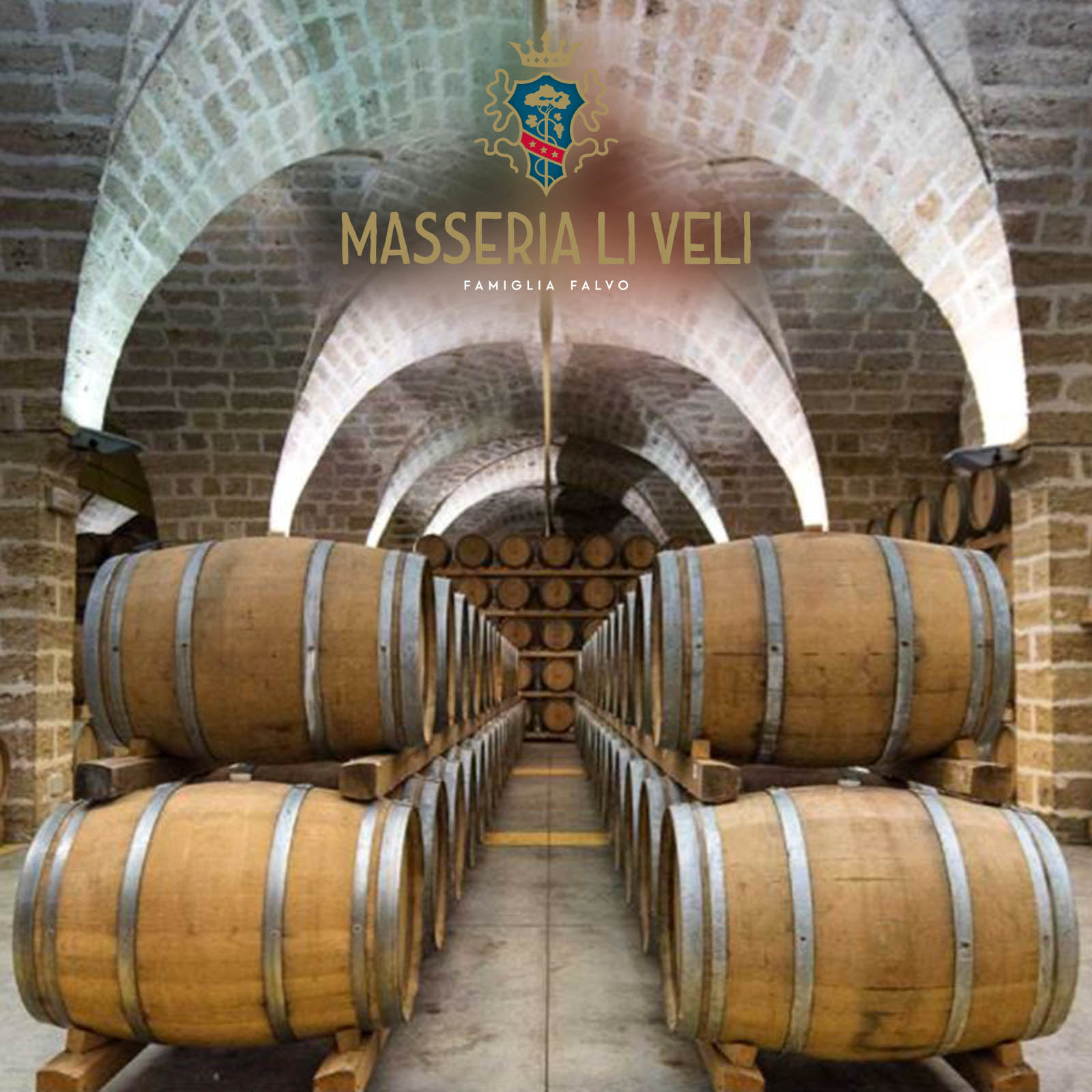 Primitivo 2024 Contrade