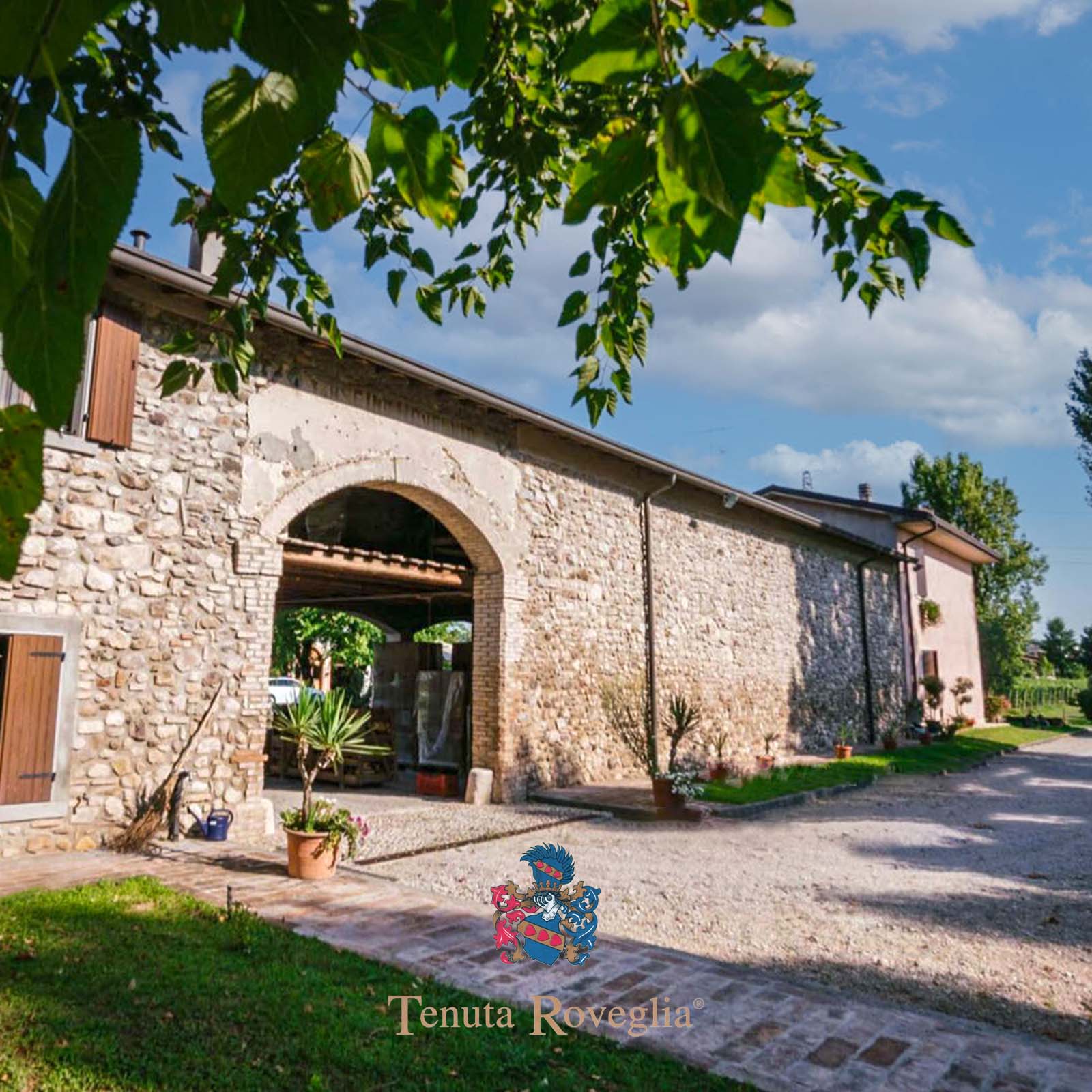 6er-Sparpaket Lugana 2024 Limne