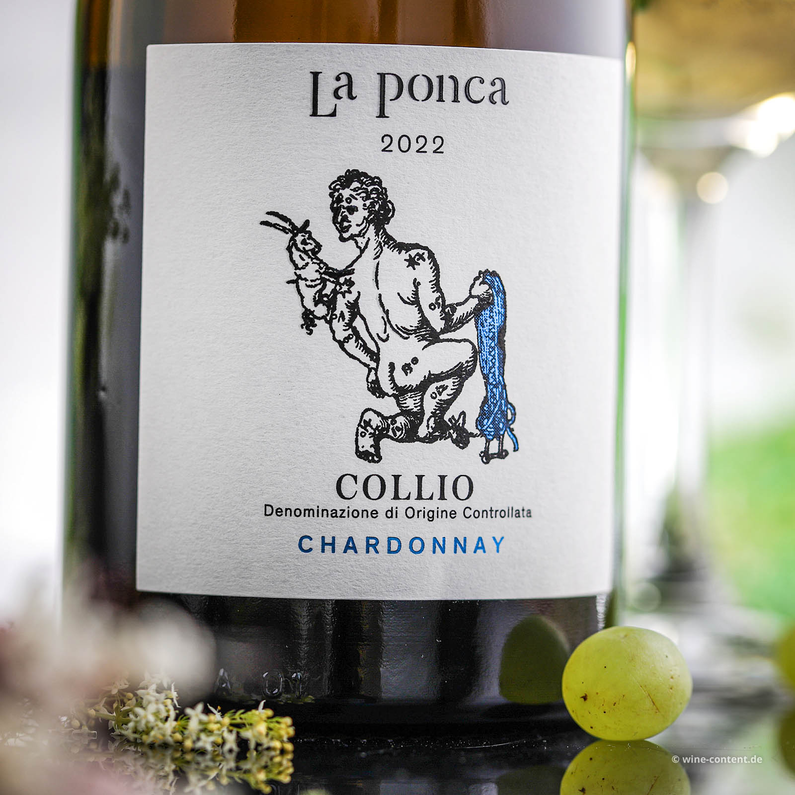 Chardonnay Collio 2022 Bio