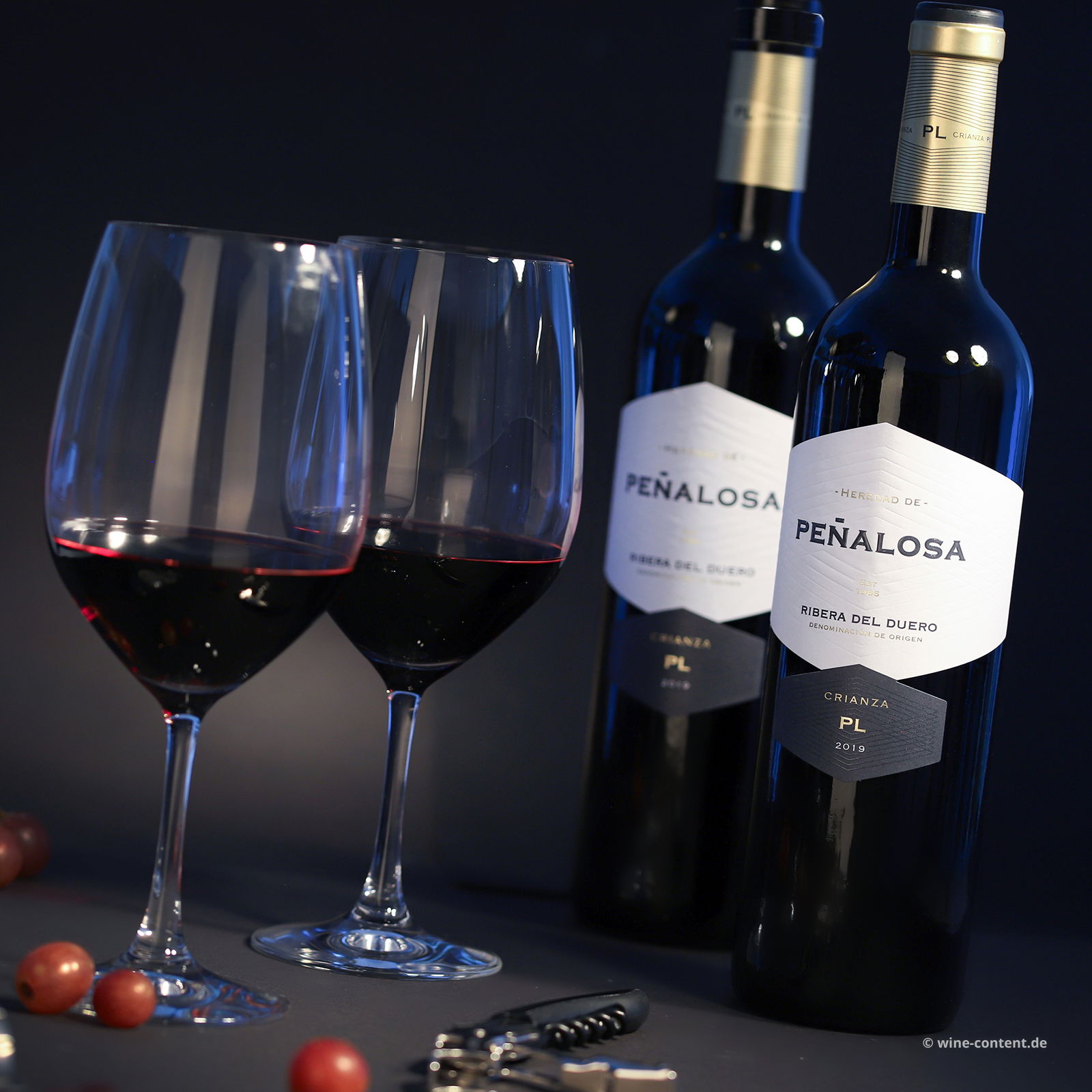 Tempranillo Crianza 2019 Peñalosa
