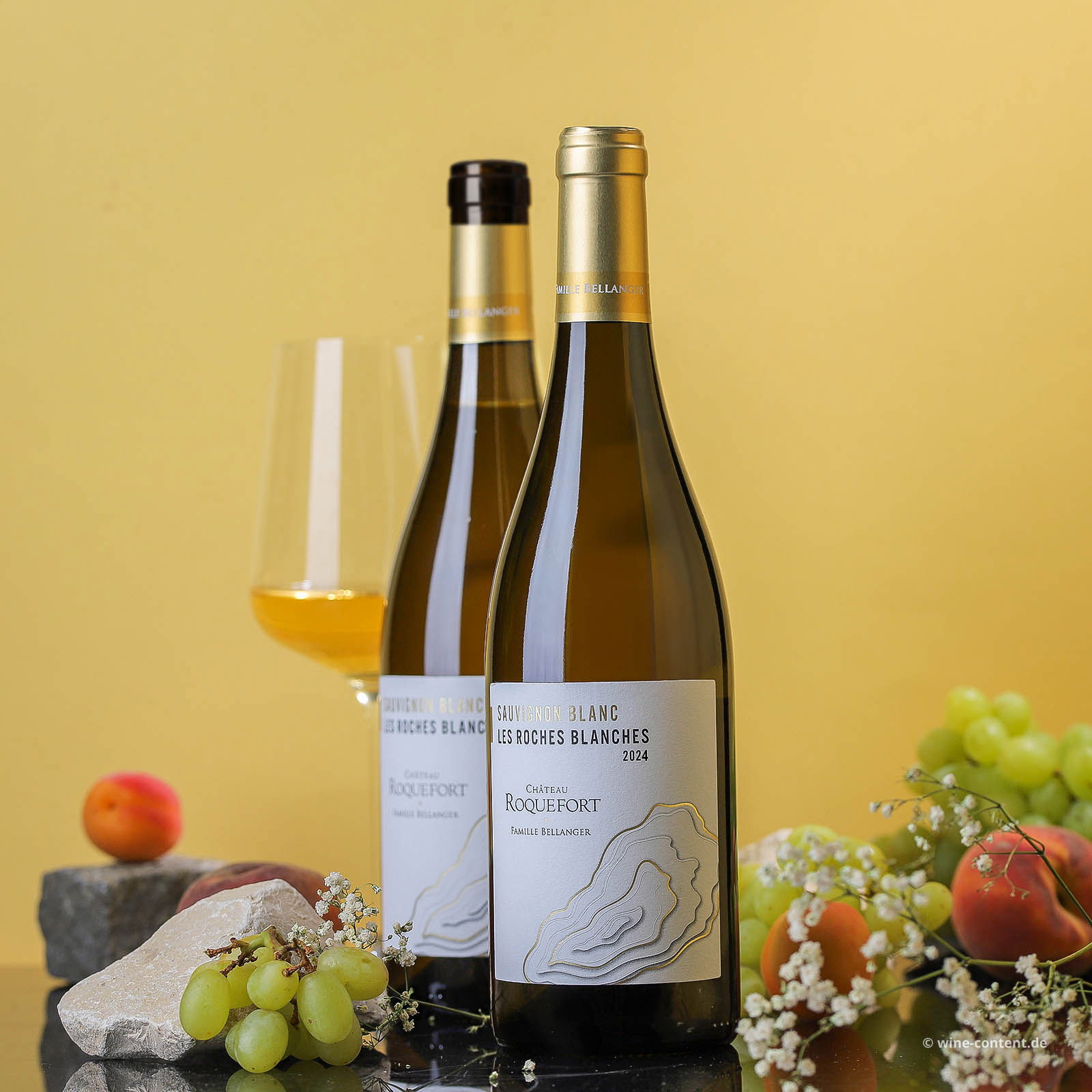 Sauvignon Blanc 2024 Les Roches Blanches Bio