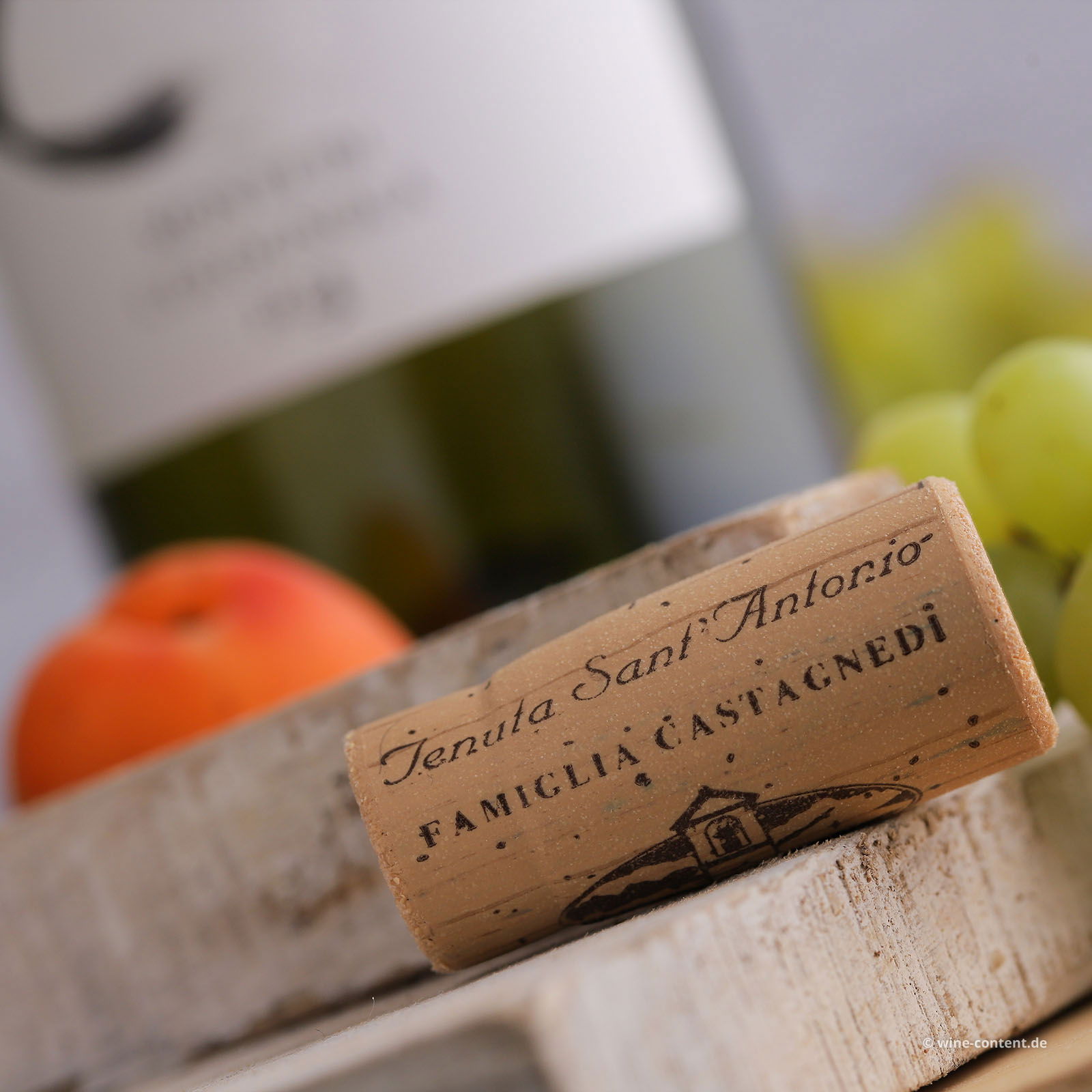 Soave 2023 Monte di Colognola