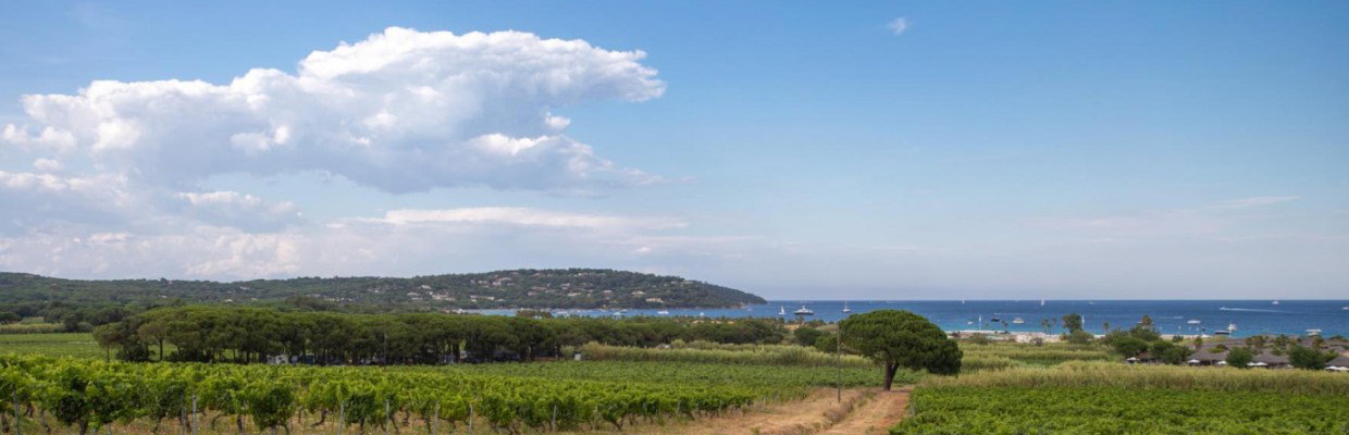 Château de Pampelonne