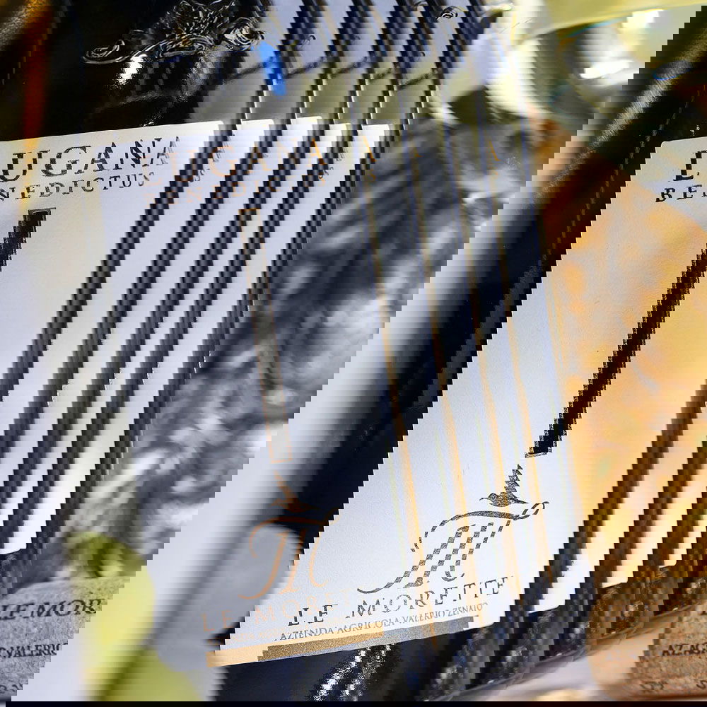 6er-Sparpaket Lugana 2024 Benedictus 6er-Sparpaket Lugana 2024 Benedictus