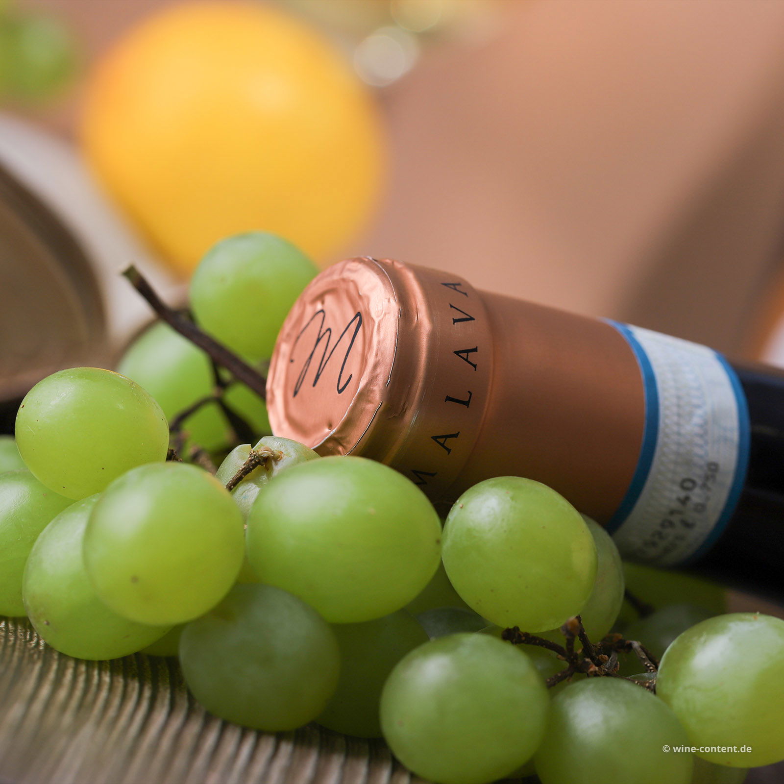 Lugana 2024 Camilla Lugana 2024 Camilla