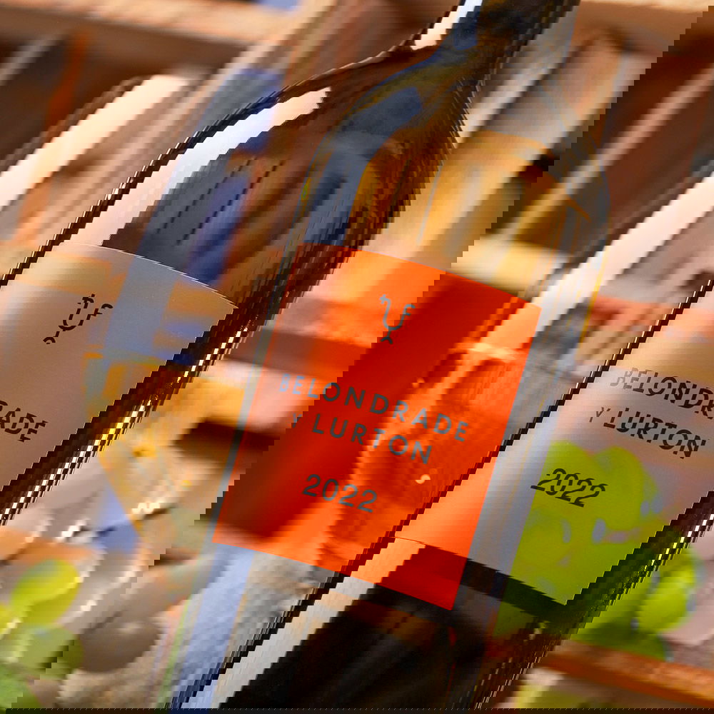 Verdejo 2022 Belondrade y Lurton Bio