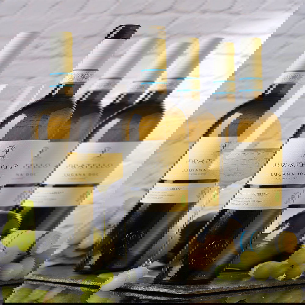 6er-Sparpaket Lugana 2024 Catulliano