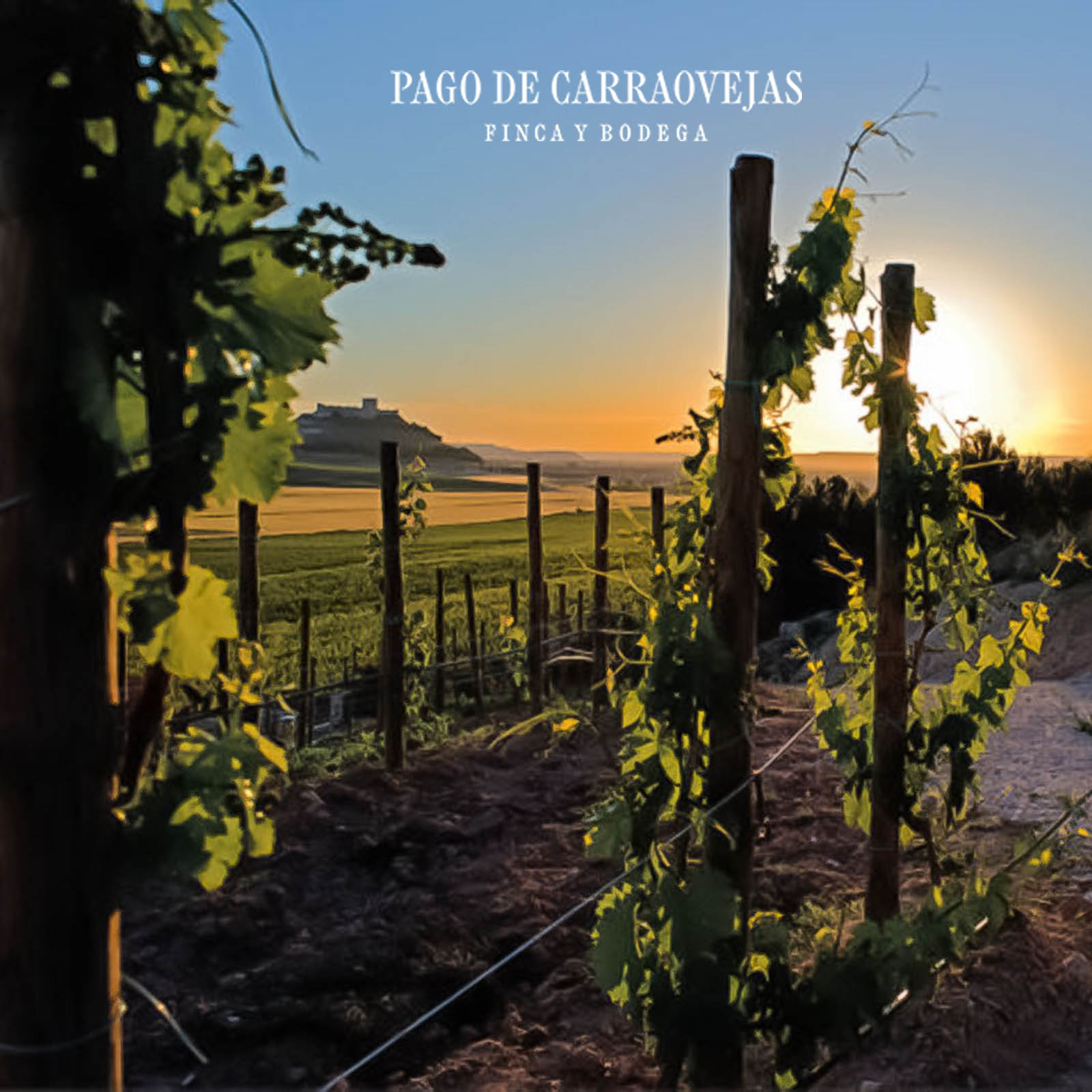 Pago de Carraovejas 2023