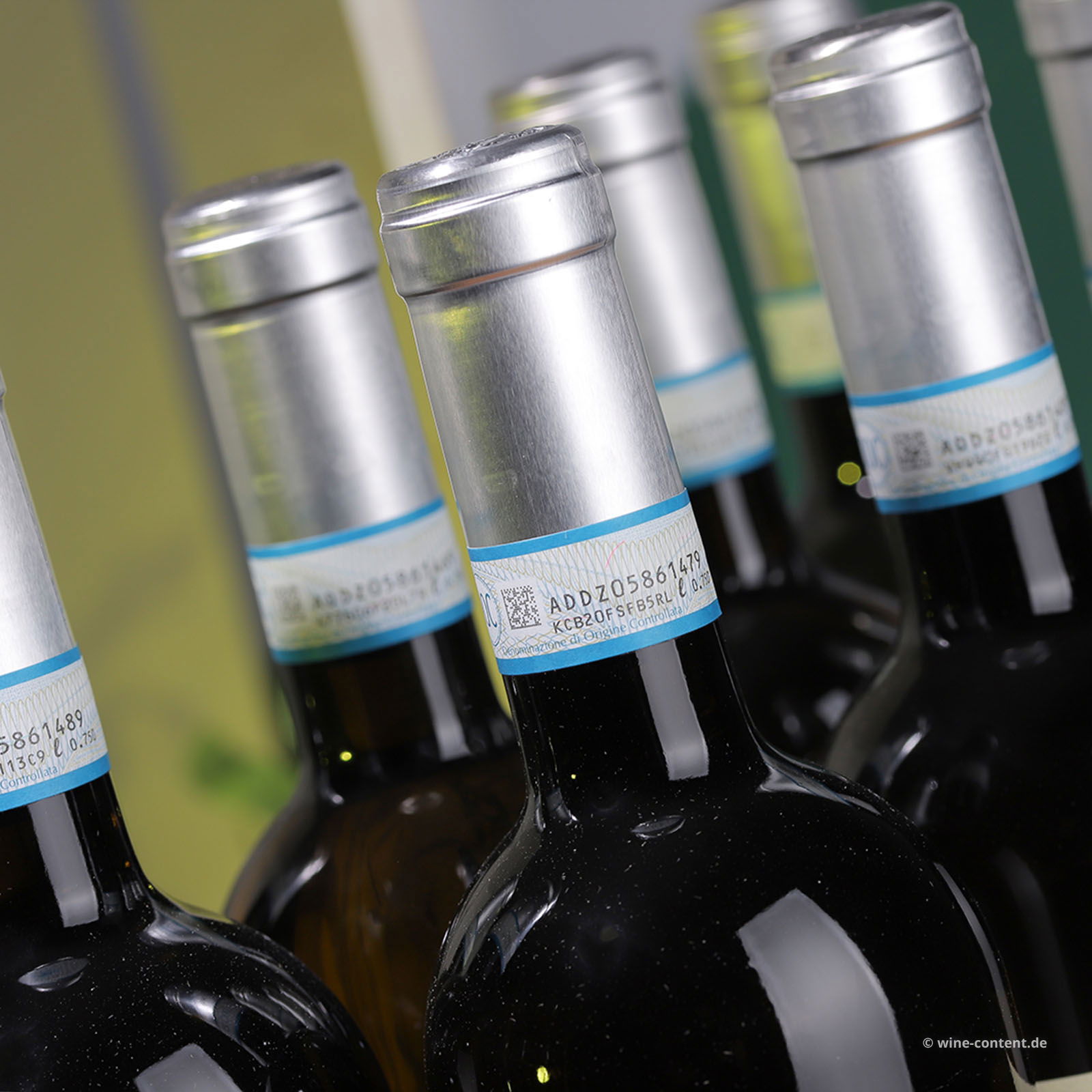 9er-Sparpaket Lugana 2024 Santa Cristina