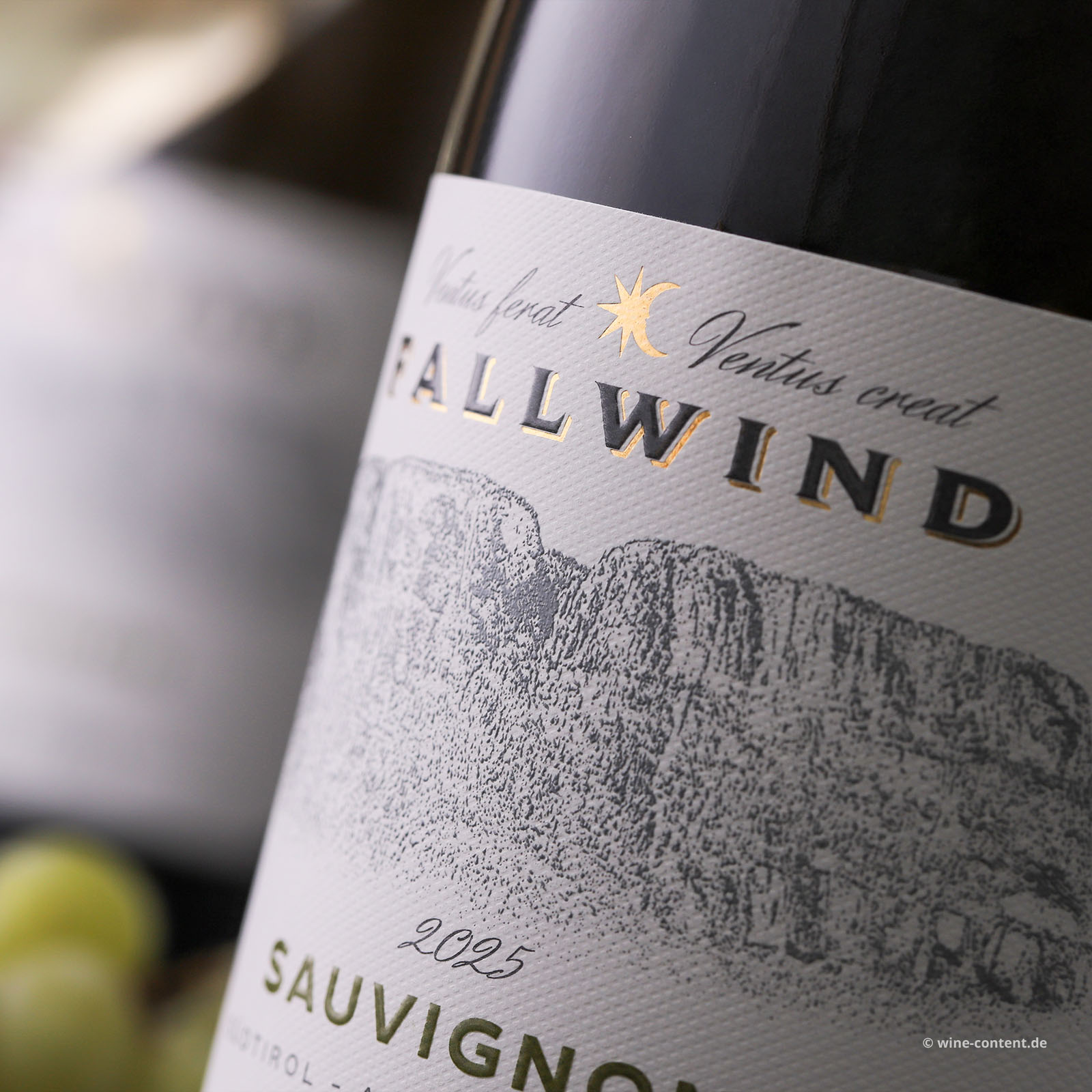 6er-Sparpaket Sauvignon Blanc 2025 Fallwind