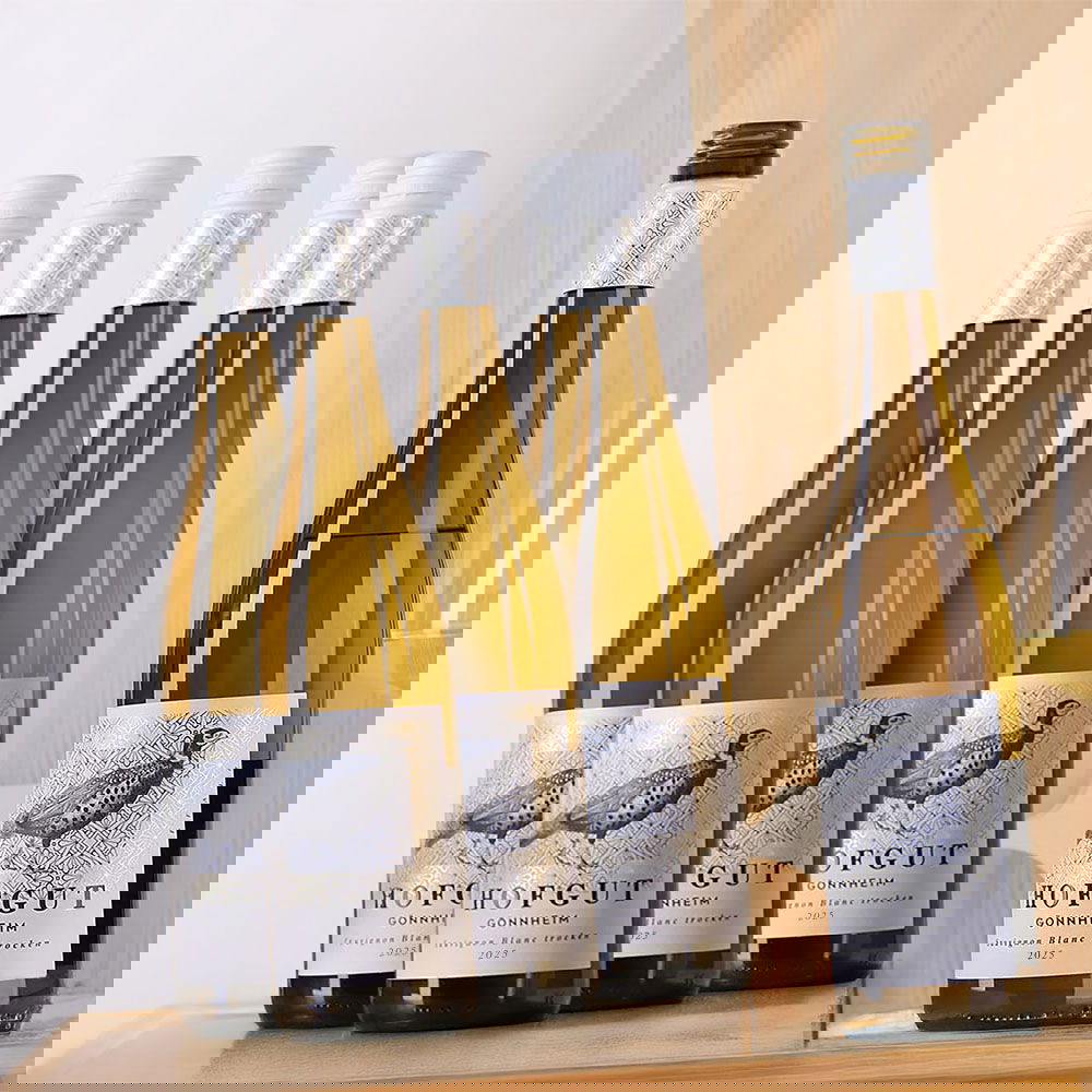 6er-Sparpaket Sauvignon Blanc 2025 Gönnheim Bio