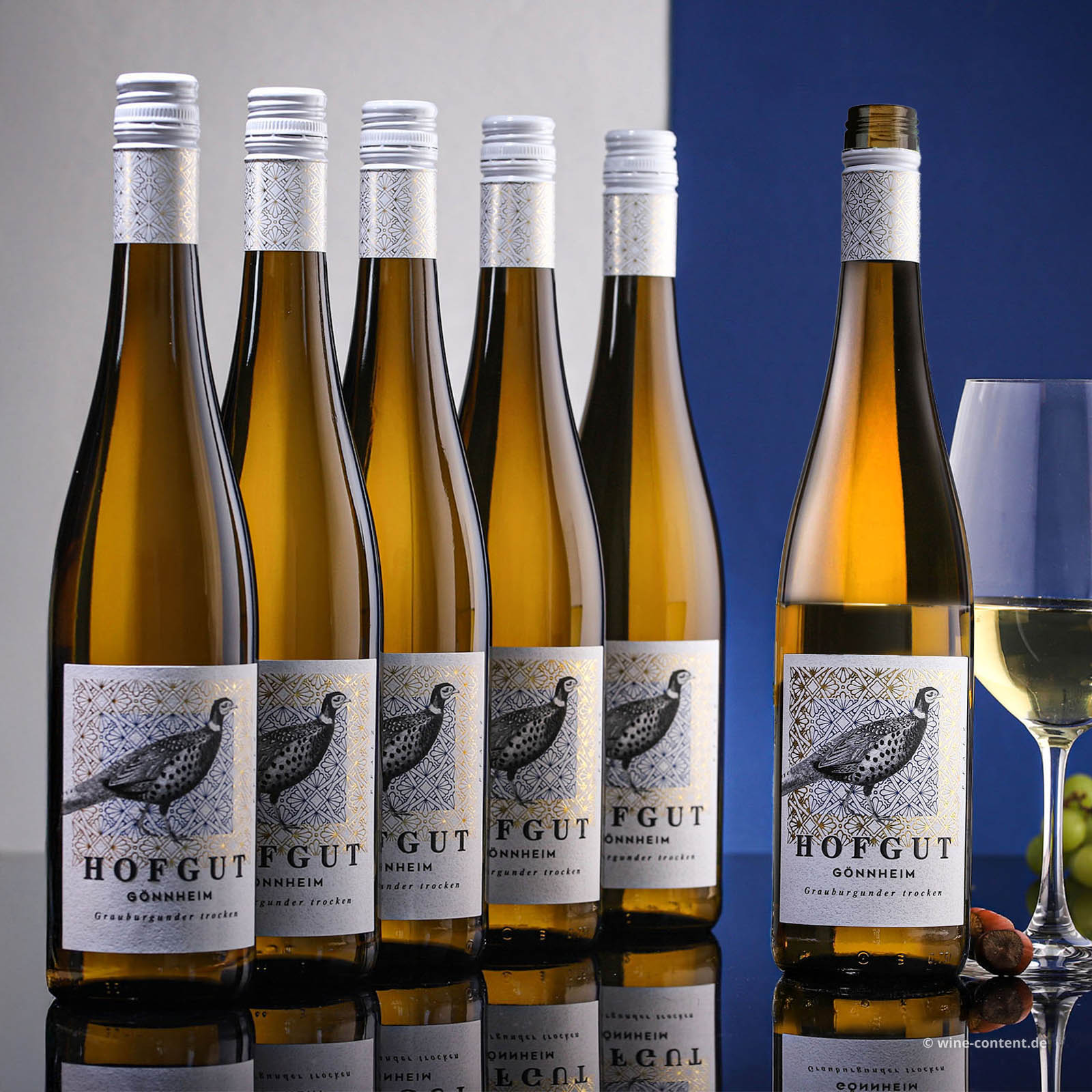 6er-Sparpaket Grauburgunder 2025 Gönnheim Bio