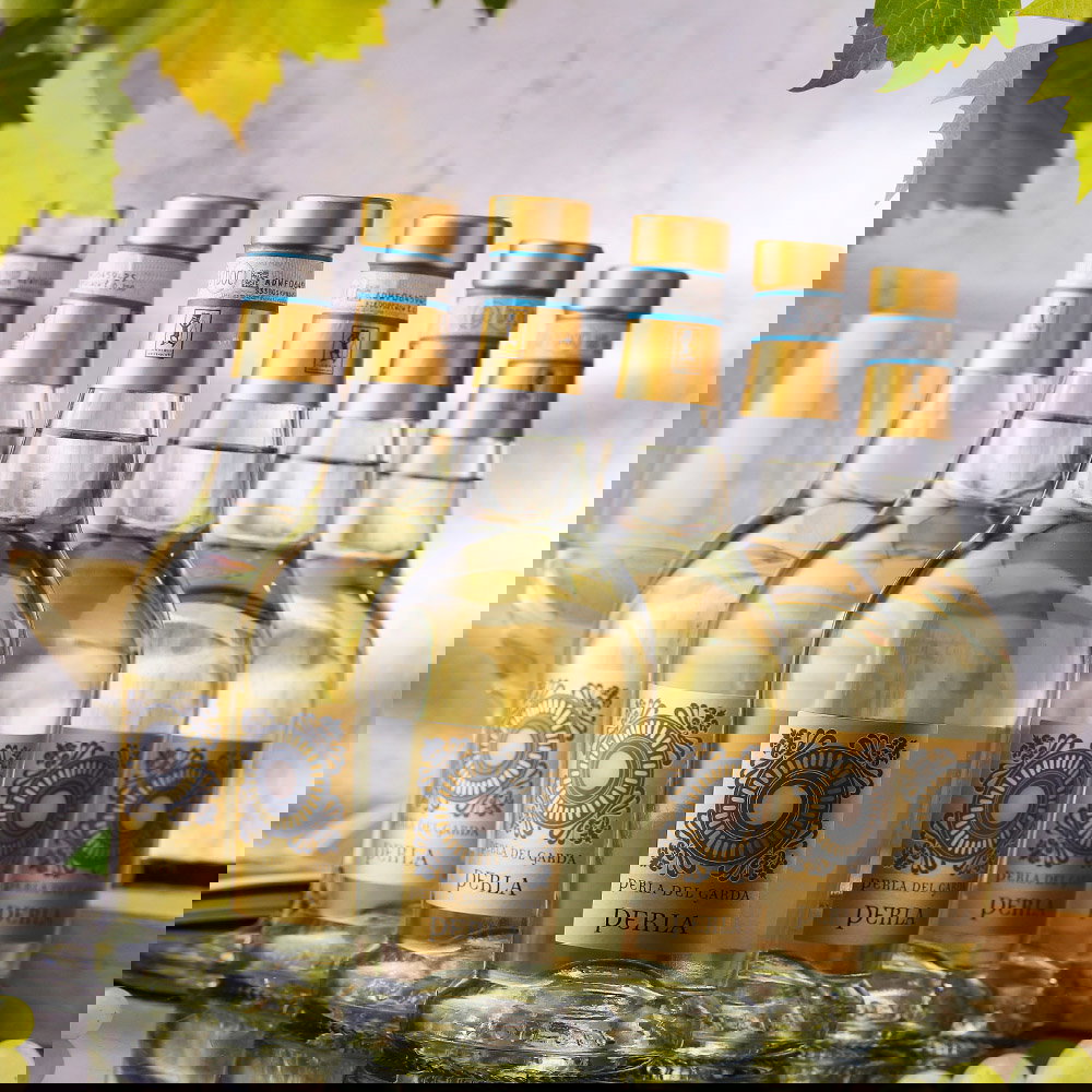 6er-Sparpaket Lugana 2025 Perla