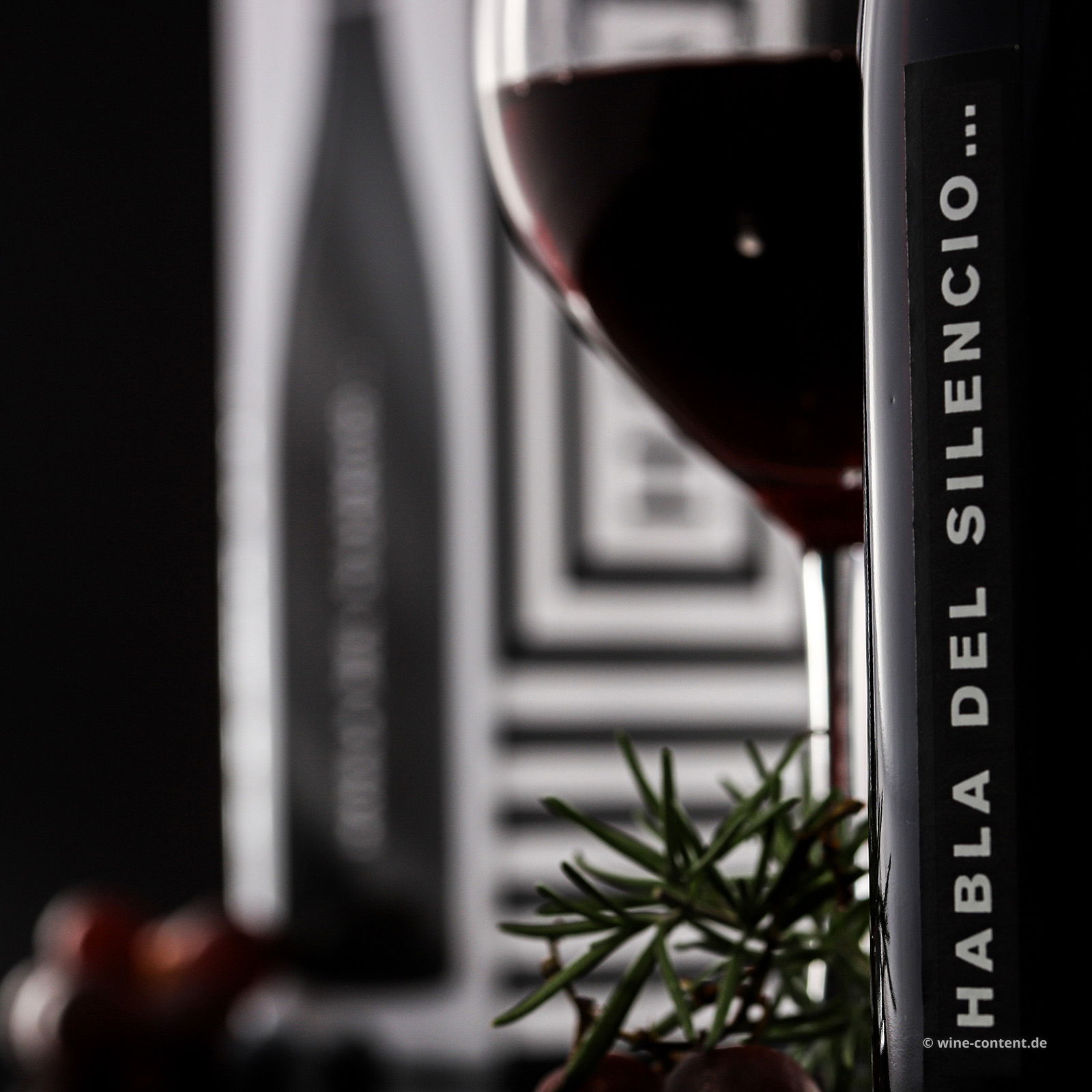 Habla del Silencio 2023