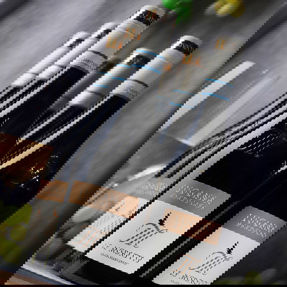 6er-Sparpaket Lugana 2024 Mandolara