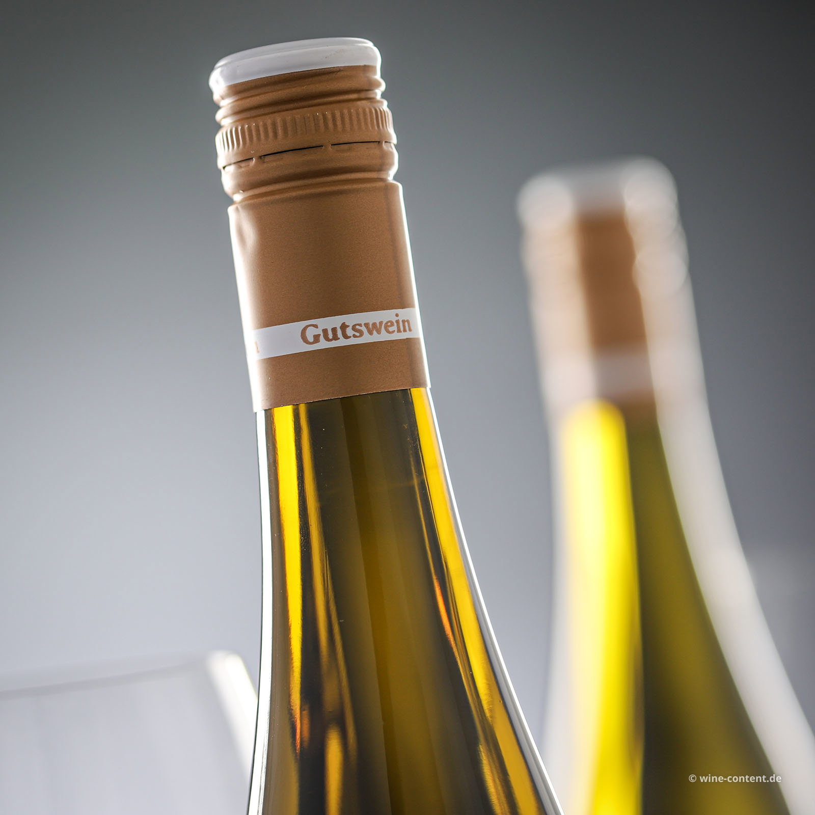 Sauvignon Blanc 2025